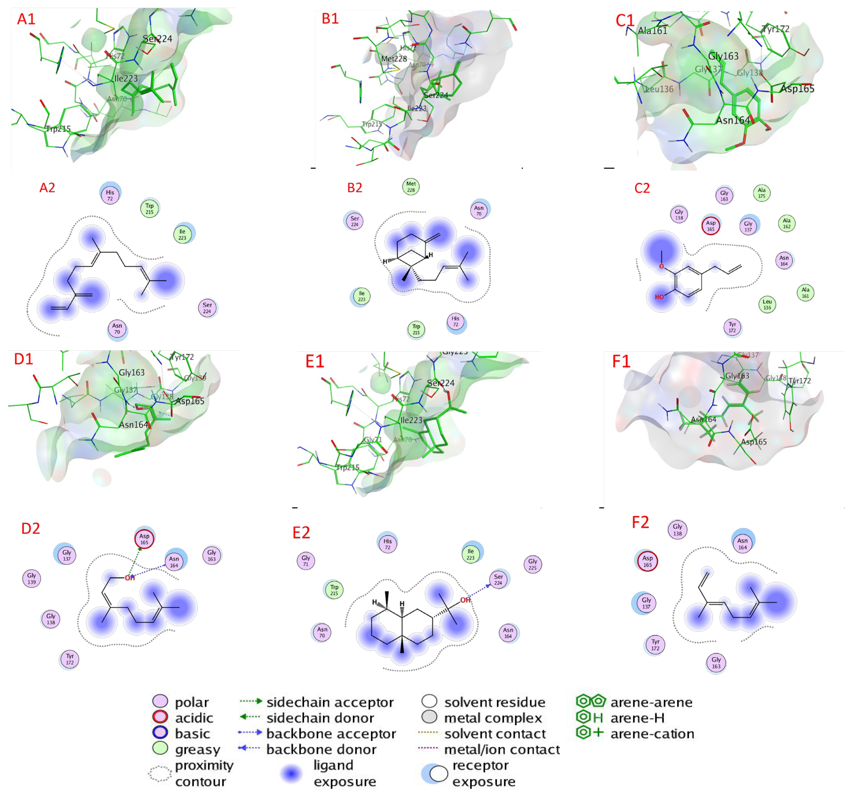 Plants 11 02949 g006 Plants 11 02949 g006
