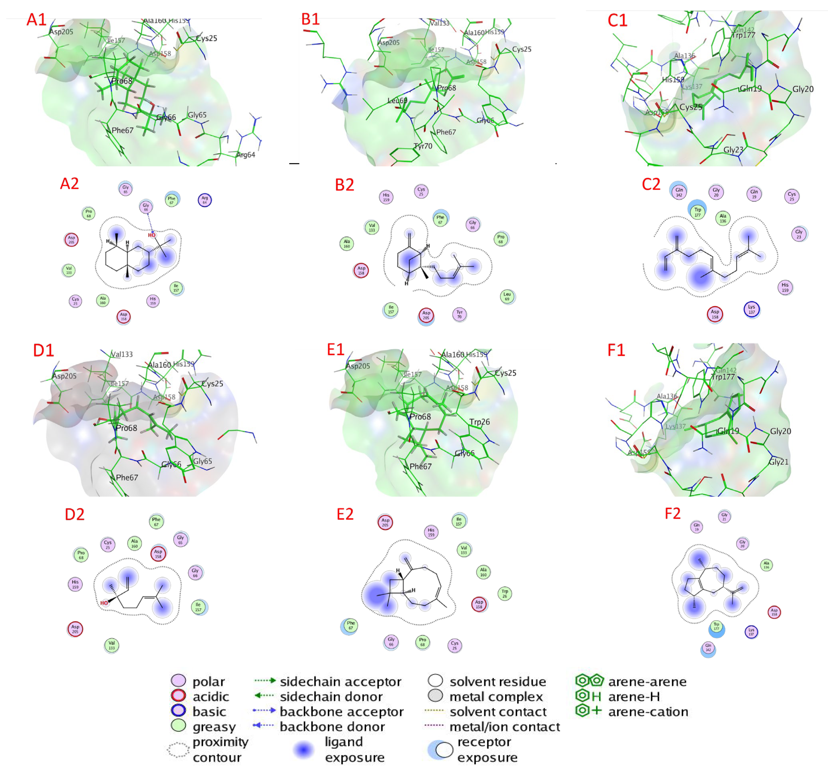 Plants 11 02949 g007 Plants 11 02949 g007