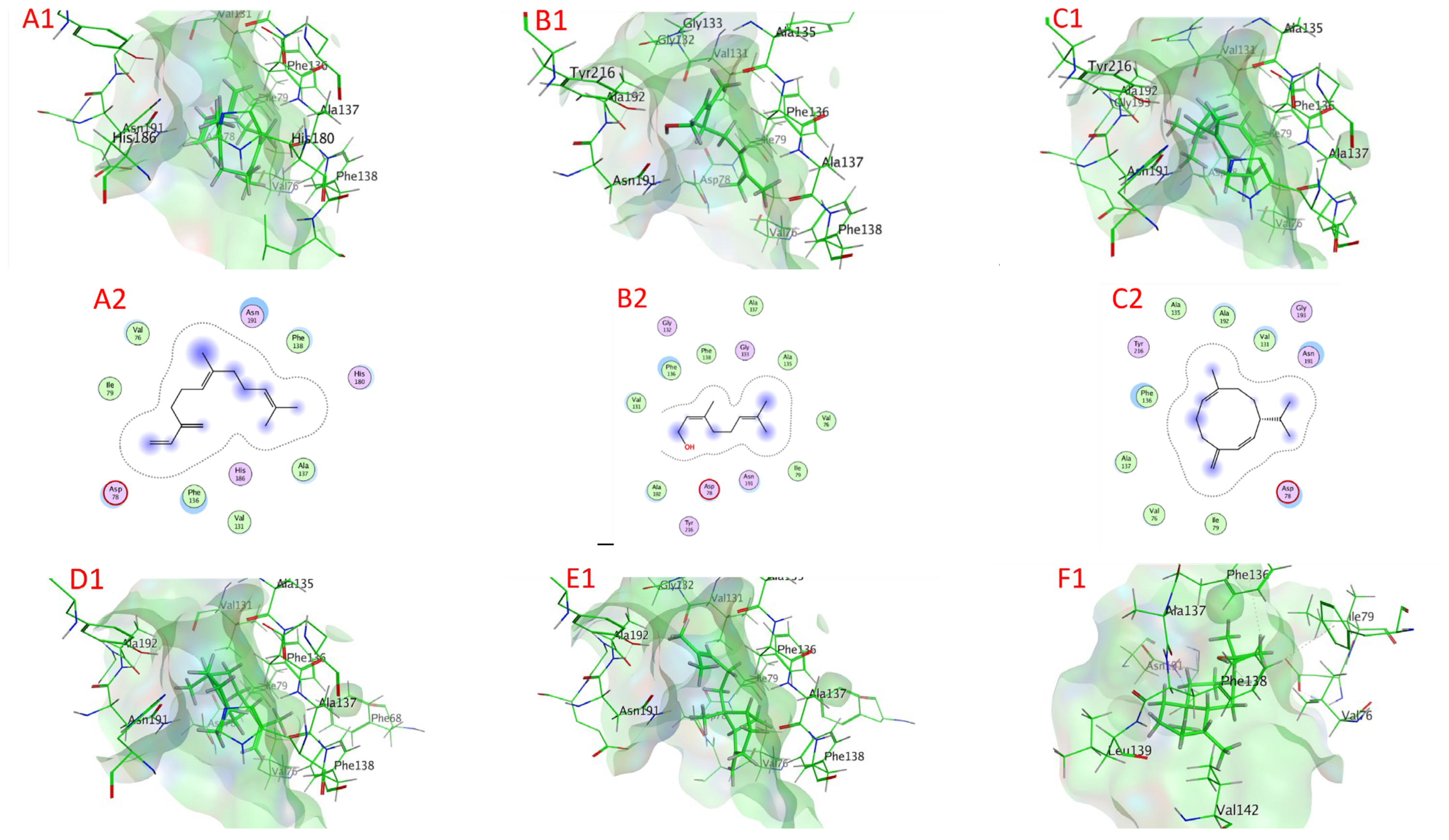 Plants 11 02949 g008a Plants 11 02949 g008a