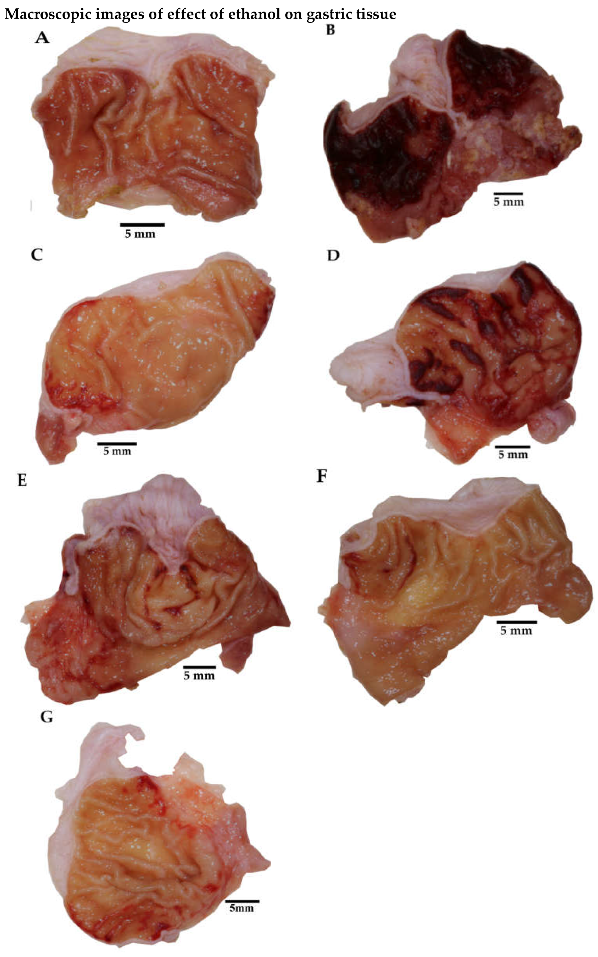 Plants 11 02951 g004 Plants 11 02951 g004