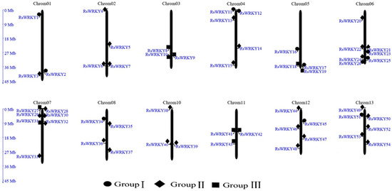 Plants | Free Full-Text | Comprehensive Genomic Survey, Structural 