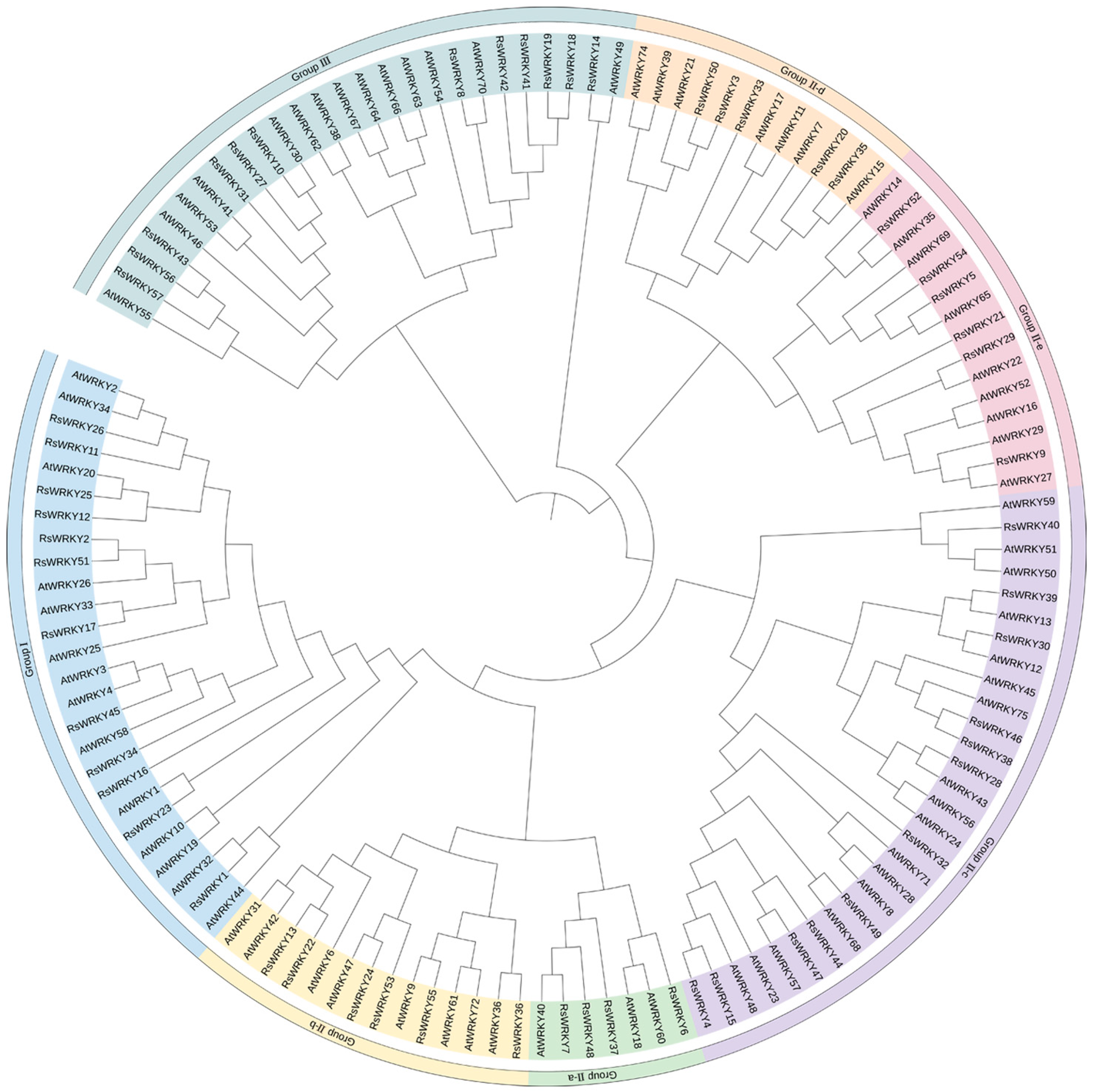 Plants 11 02967 g002 Plants 11 02967 g002