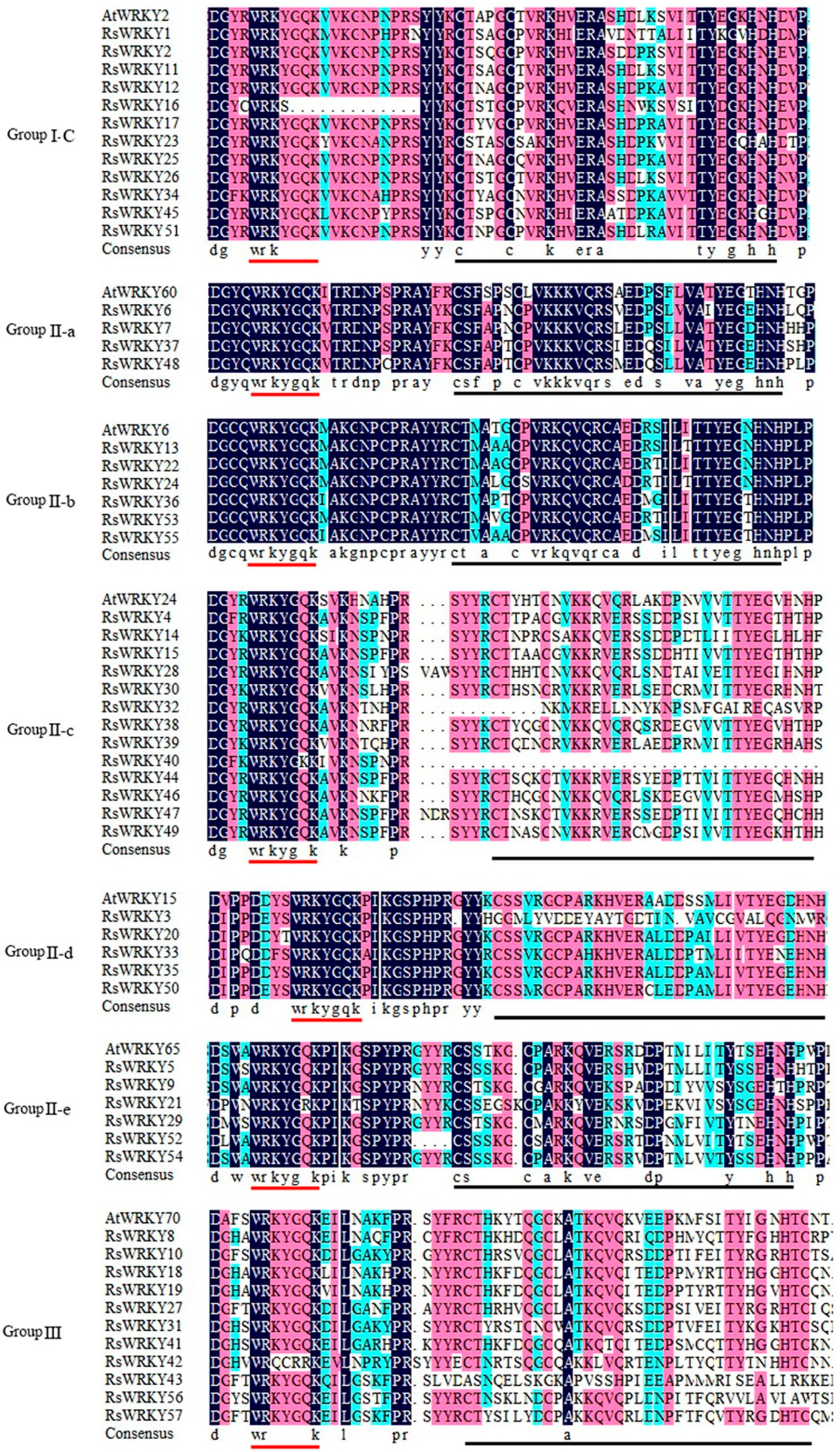 Plants 11 02967 g003b Plants 11 02967 g003b