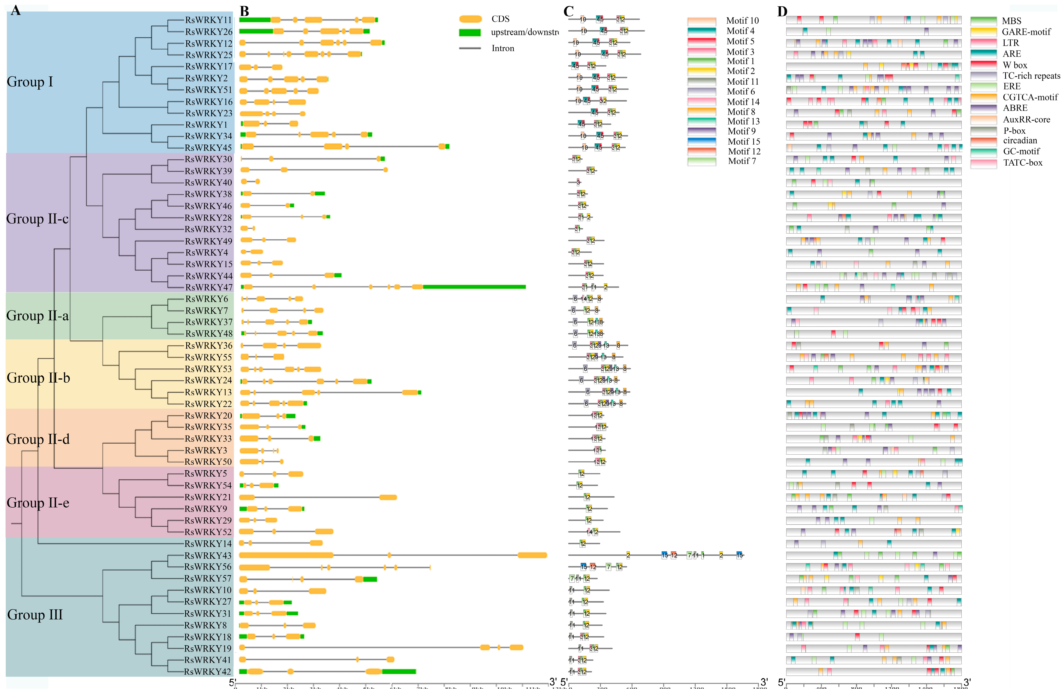 Plants 11 02967 g004 Plants 11 02967 g004