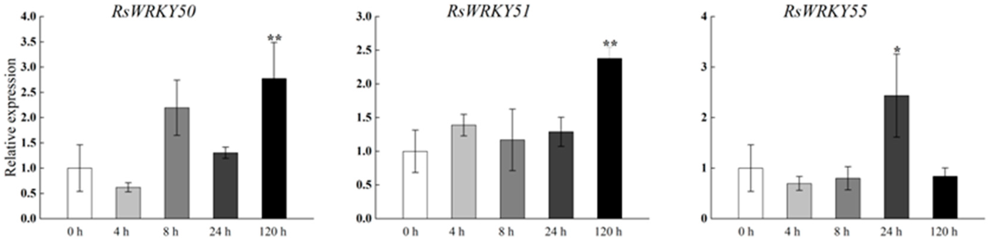 Plants 11 02967 g008b Plants 11 02967 g008b