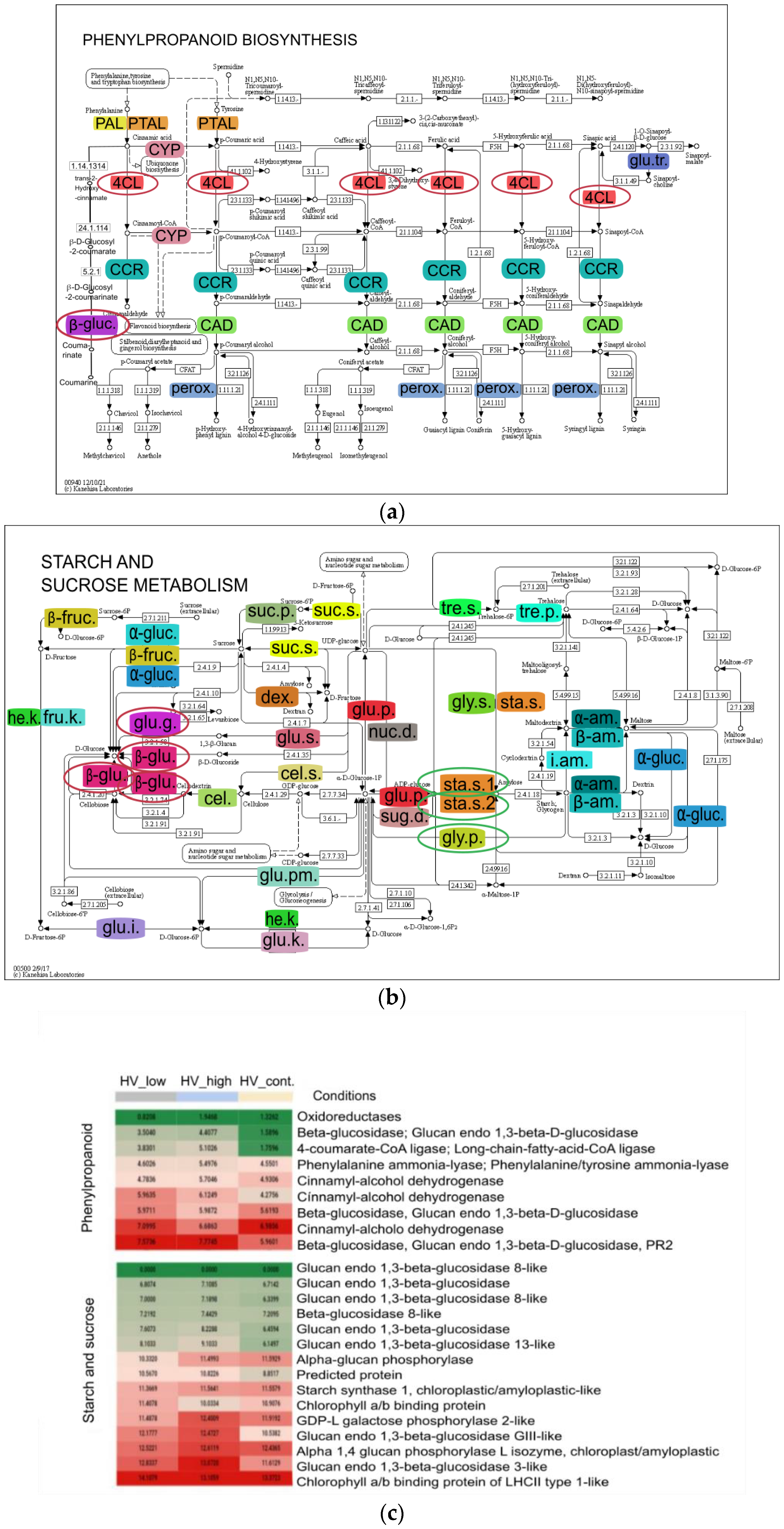 Plants 11 02969 g008 Plants 11 02969 g008