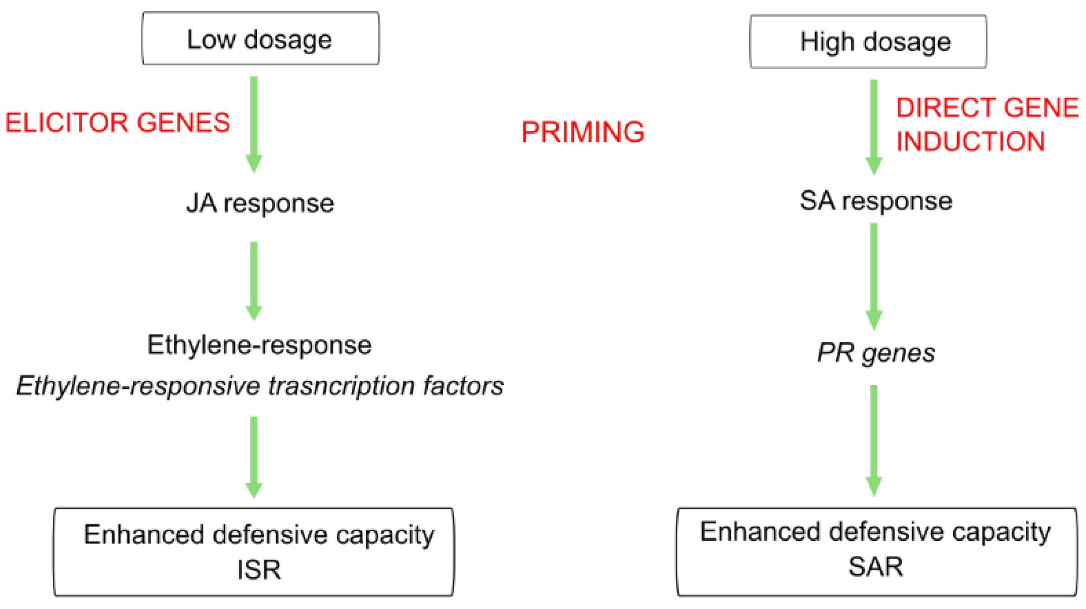 Plants 11 02969 g009 Plants 11 02969 g009