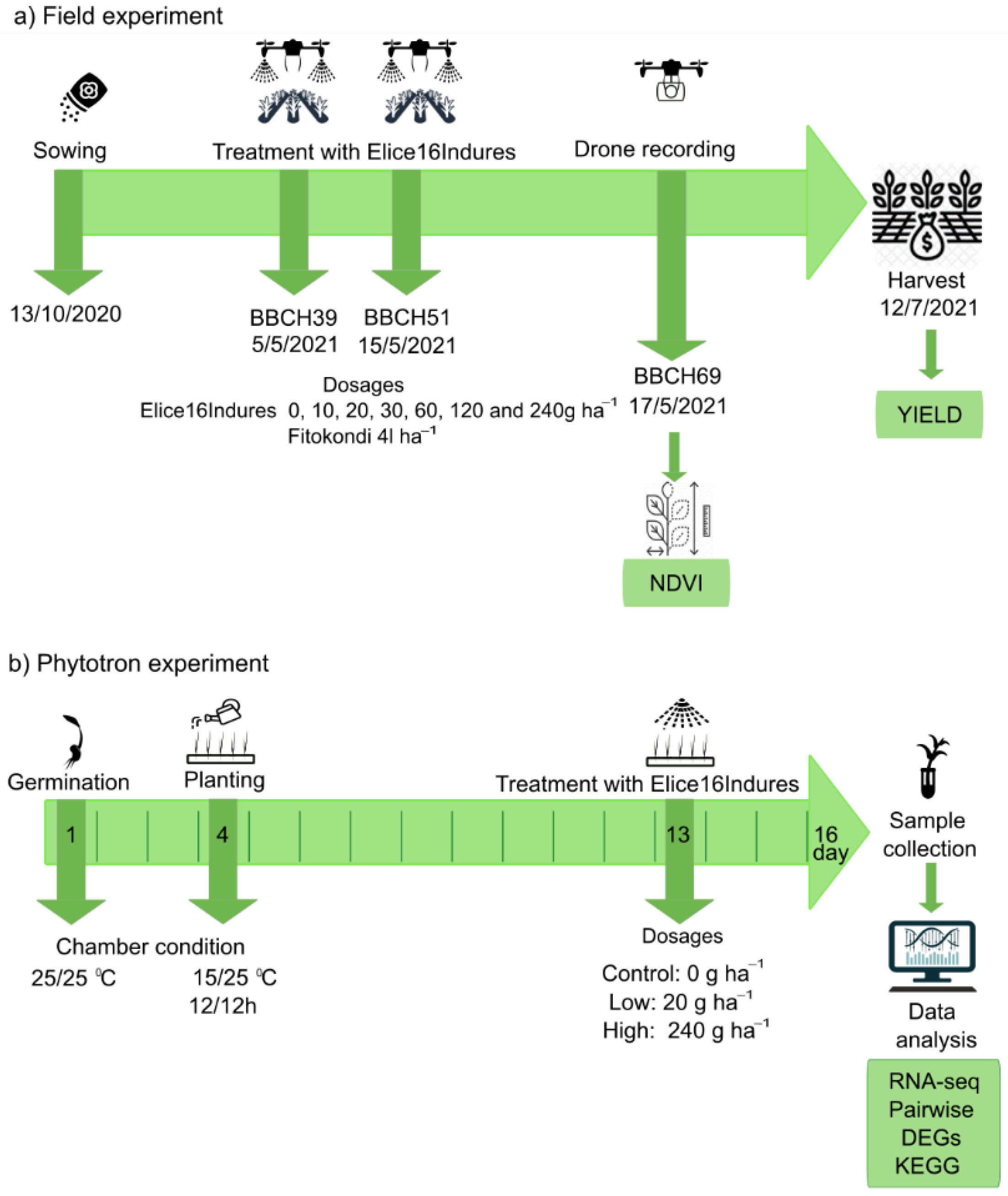 Plants 11 02969 g010 Plants 11 02969 g010