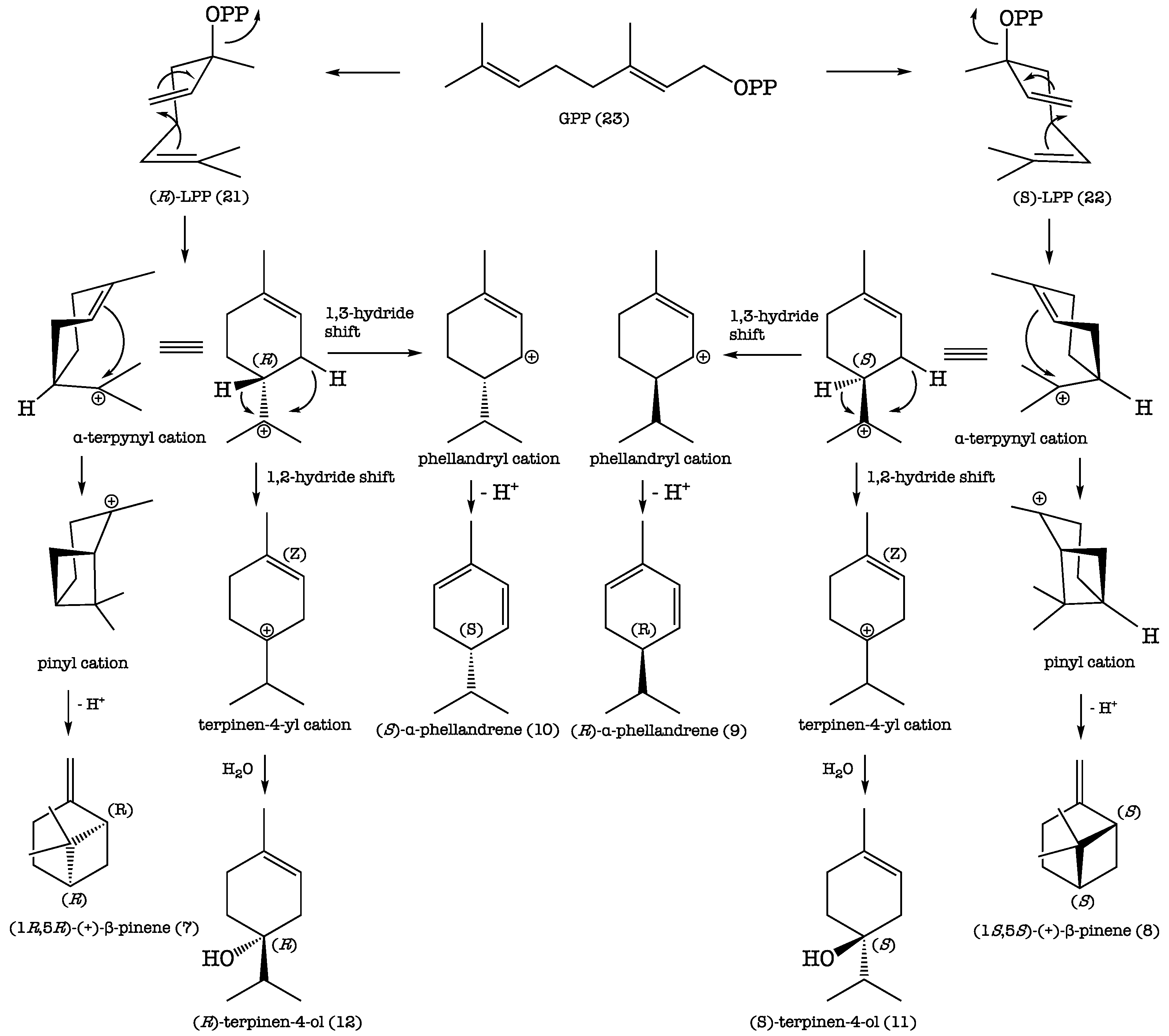 Plants 11 02972 sch001
