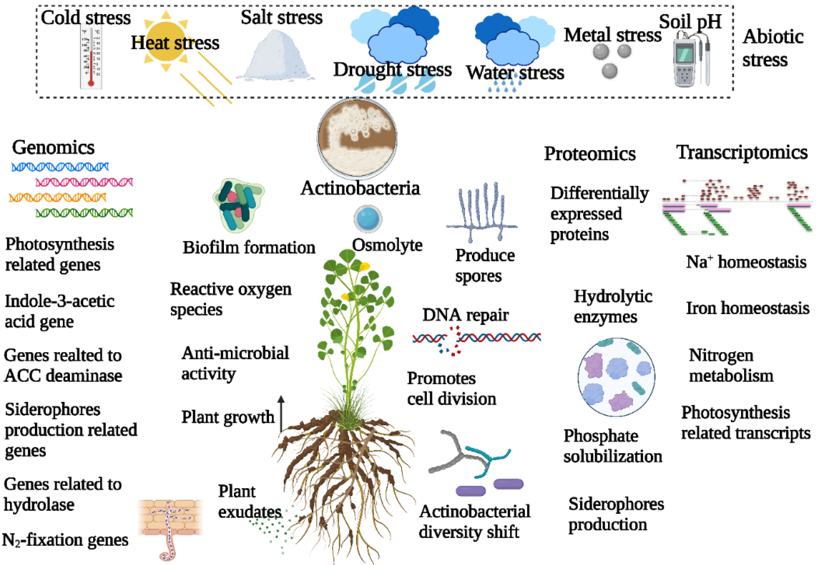 Plants 11 02976 g002 Plants 11 02976 g002