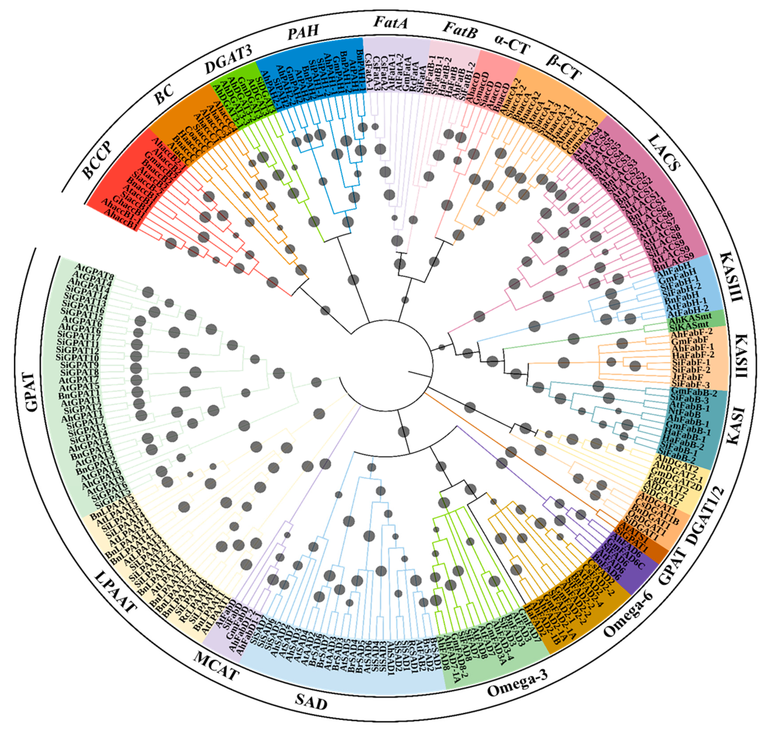 Plants 11 02980 g002 Plants 11 02980 g002
