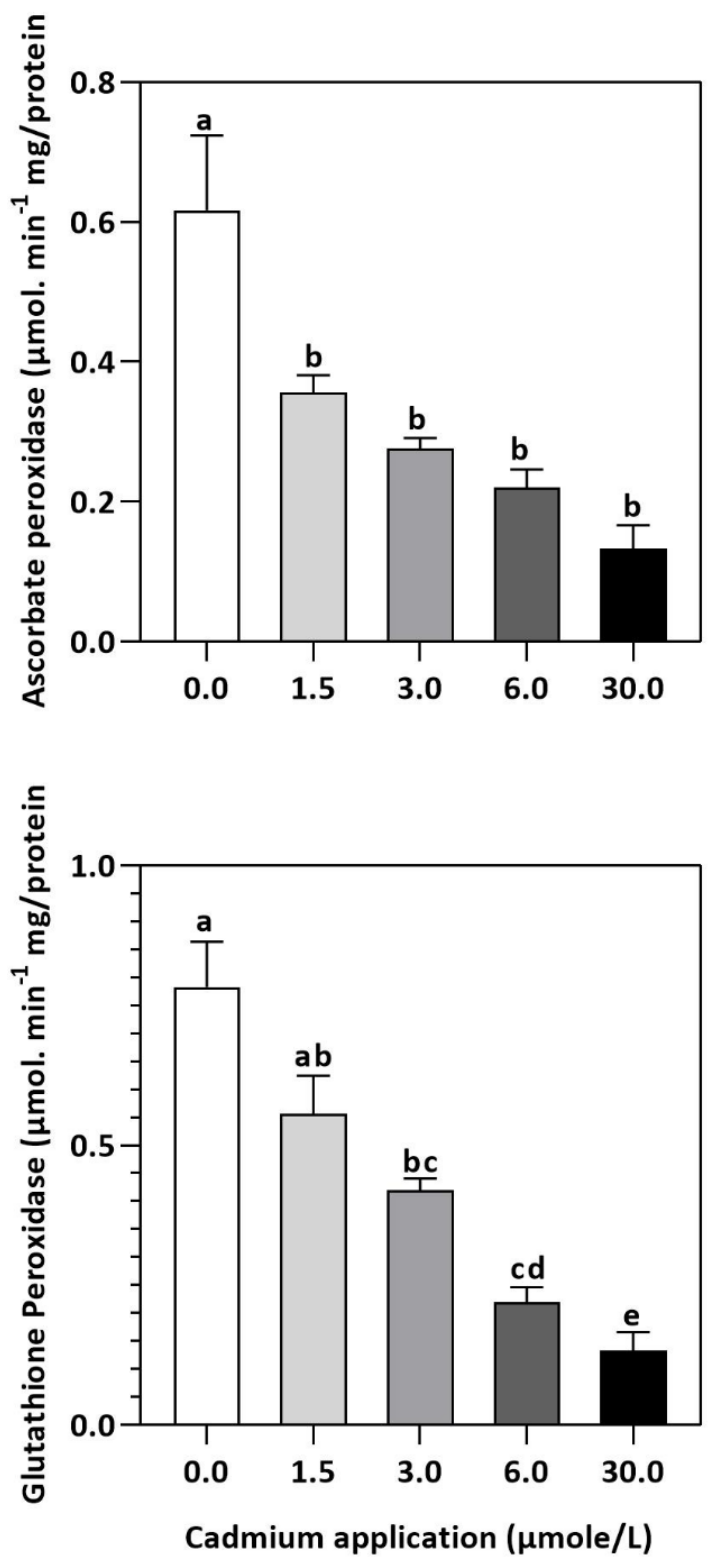 Plants 11 02981 g004 Plants 11 02981 g004