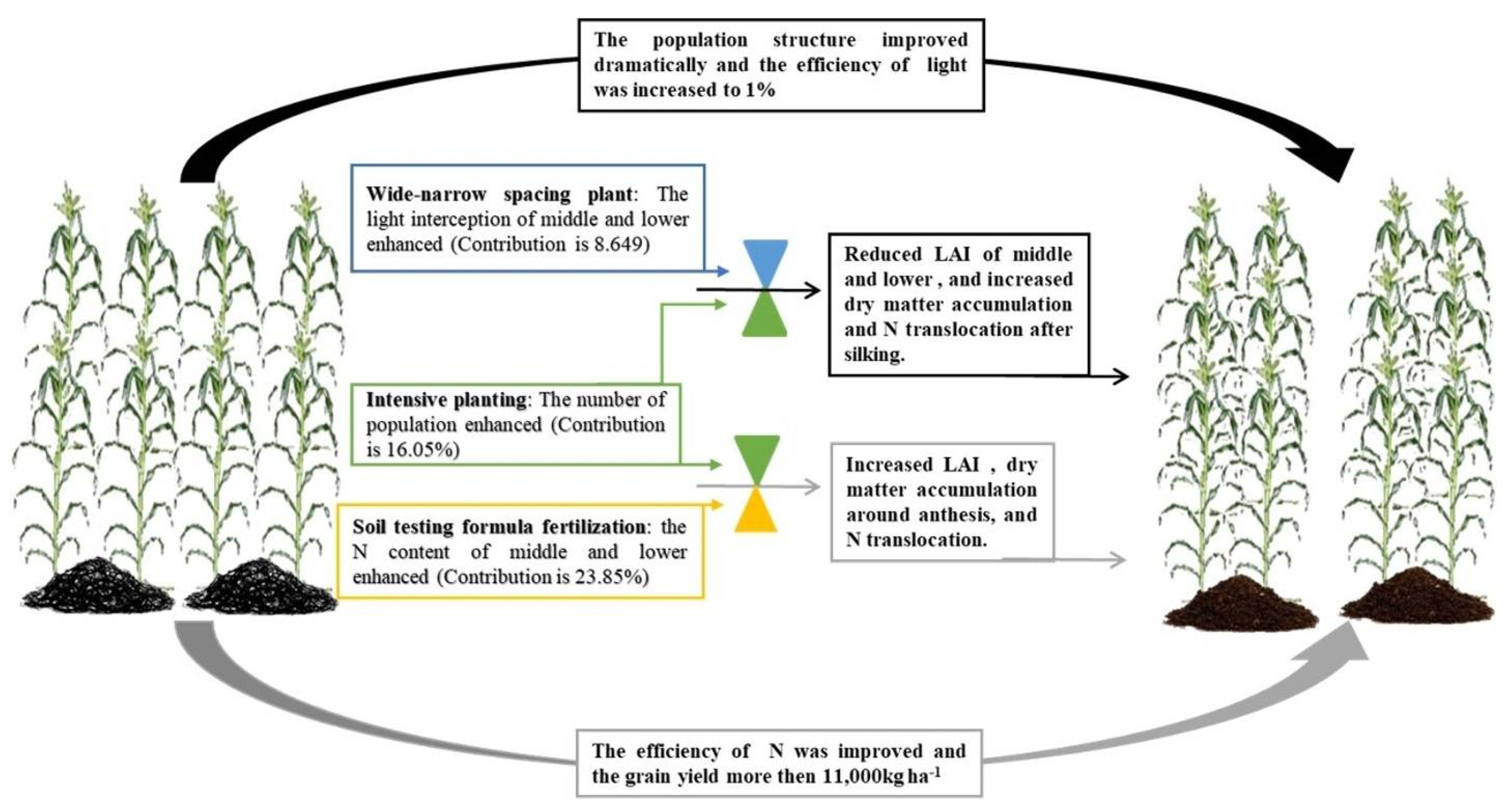 Plants 11 02985 g006