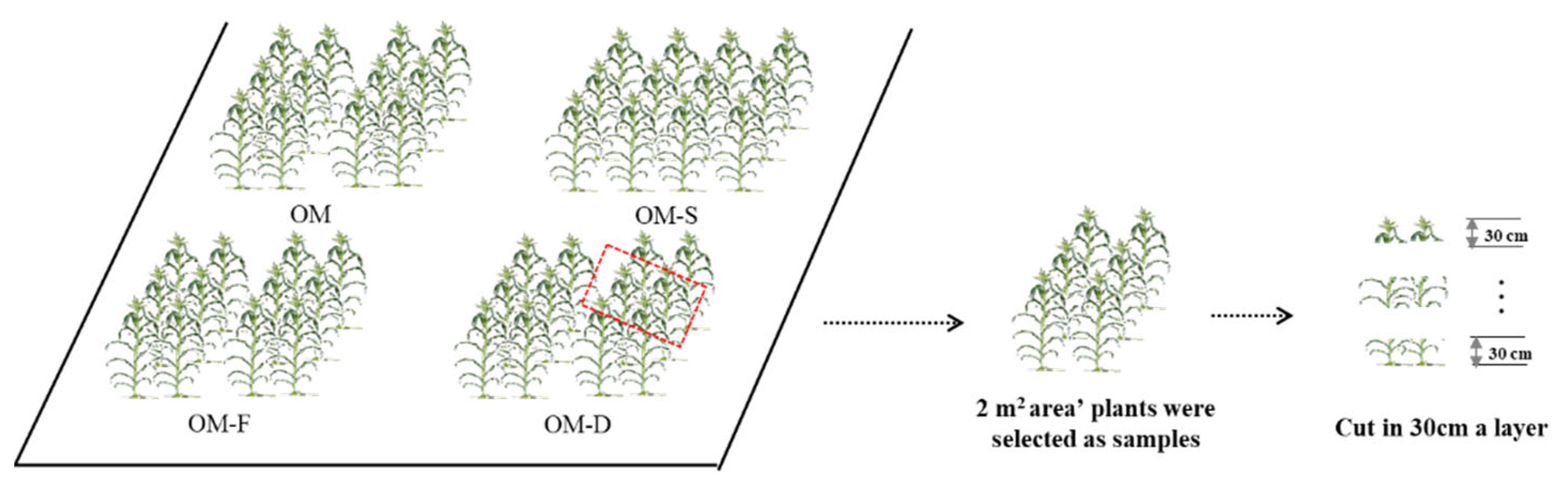 Plants 11 02985 g009