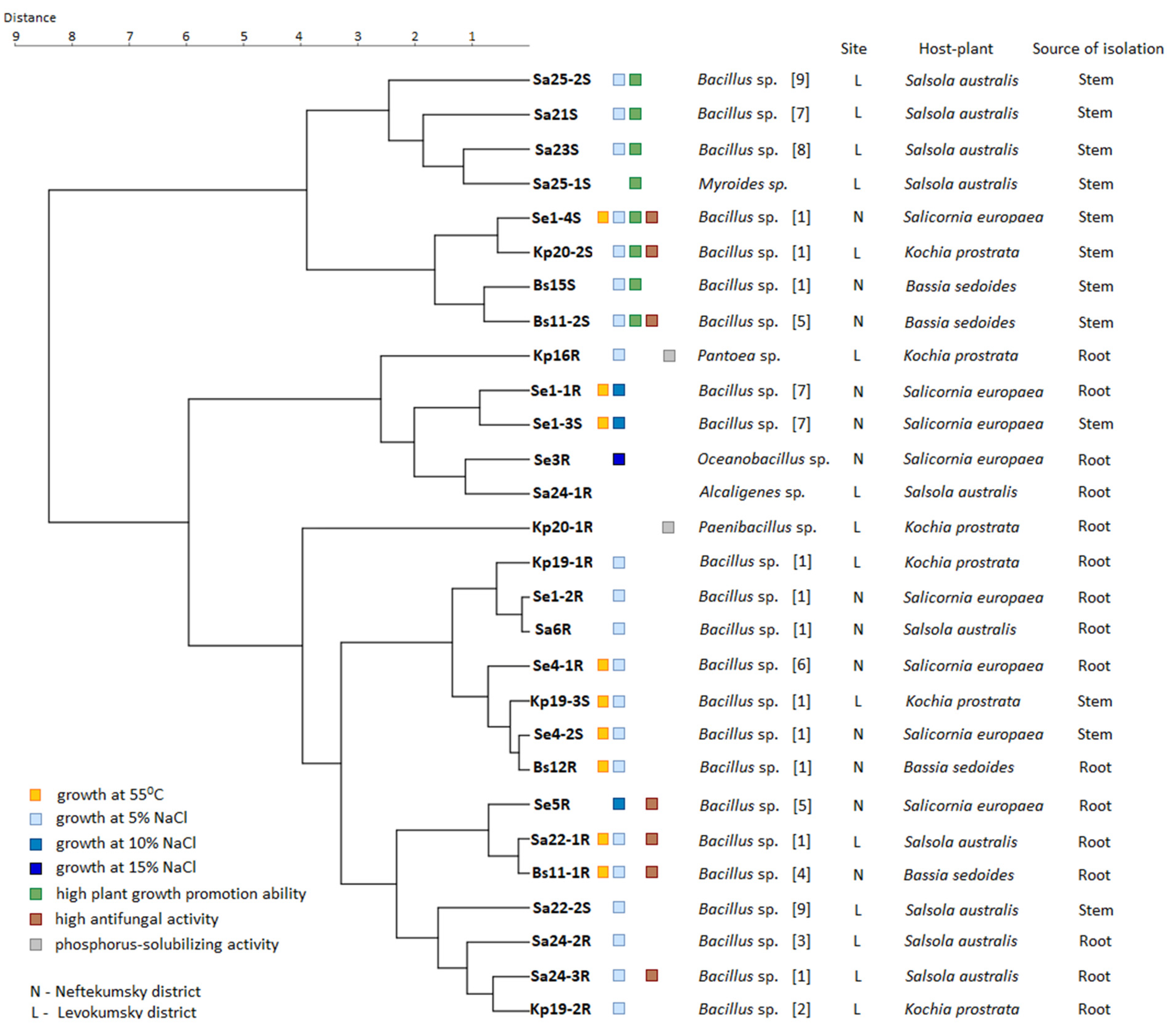 Plants 11 02992 g006 Plants 11 02992 g006