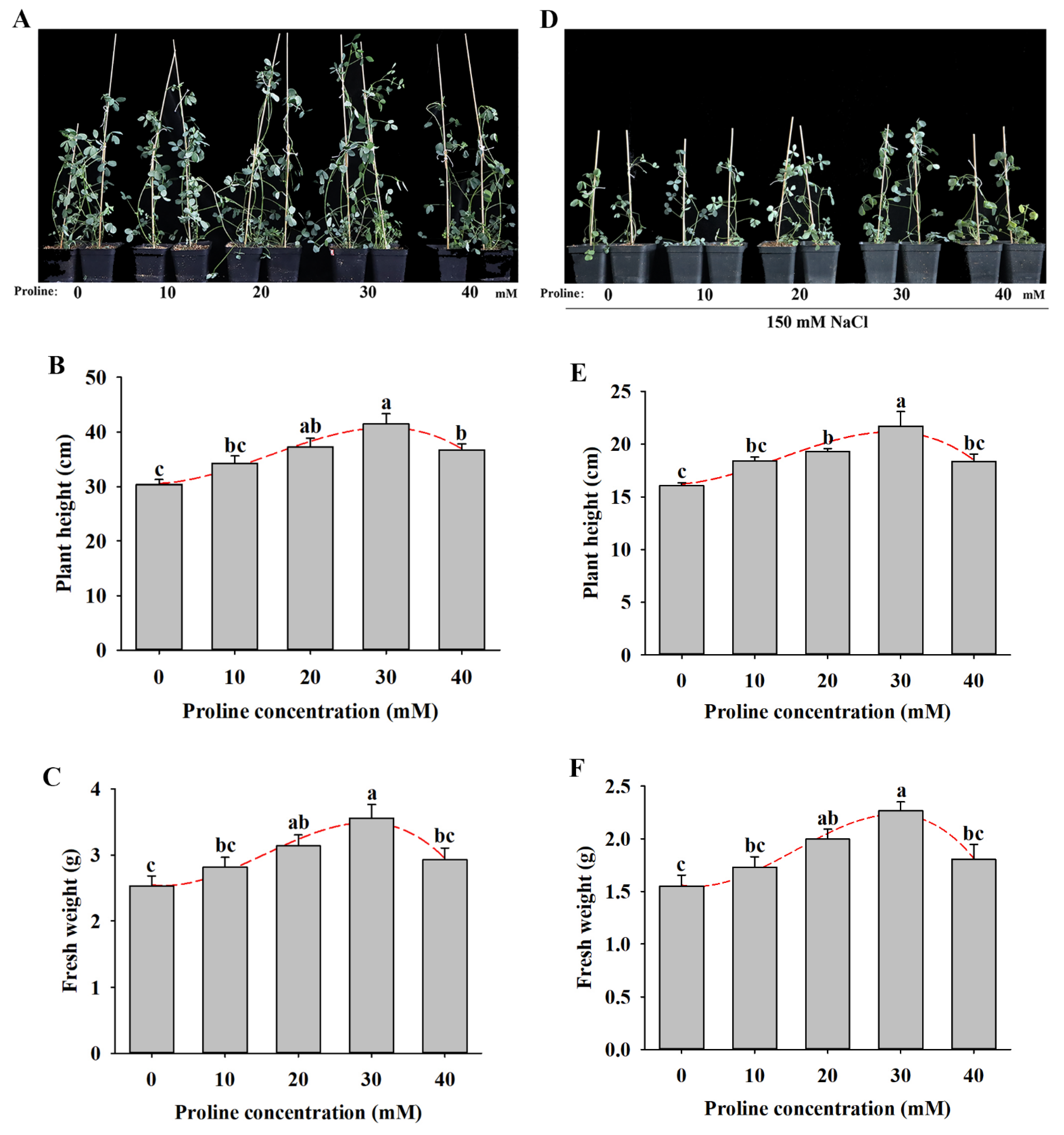 Plants 11 02994 g003 Plants 11 02994 g003
