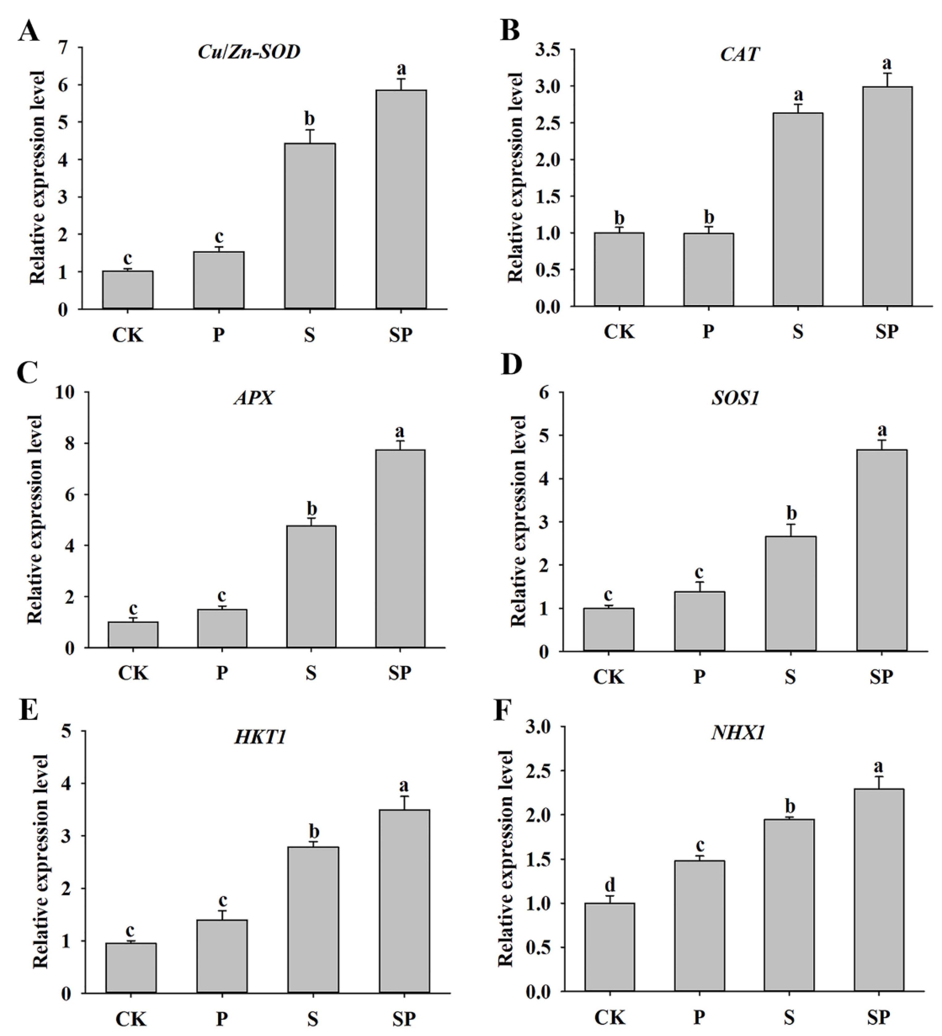 Plants 11 02994 g005 Plants 11 02994 g005