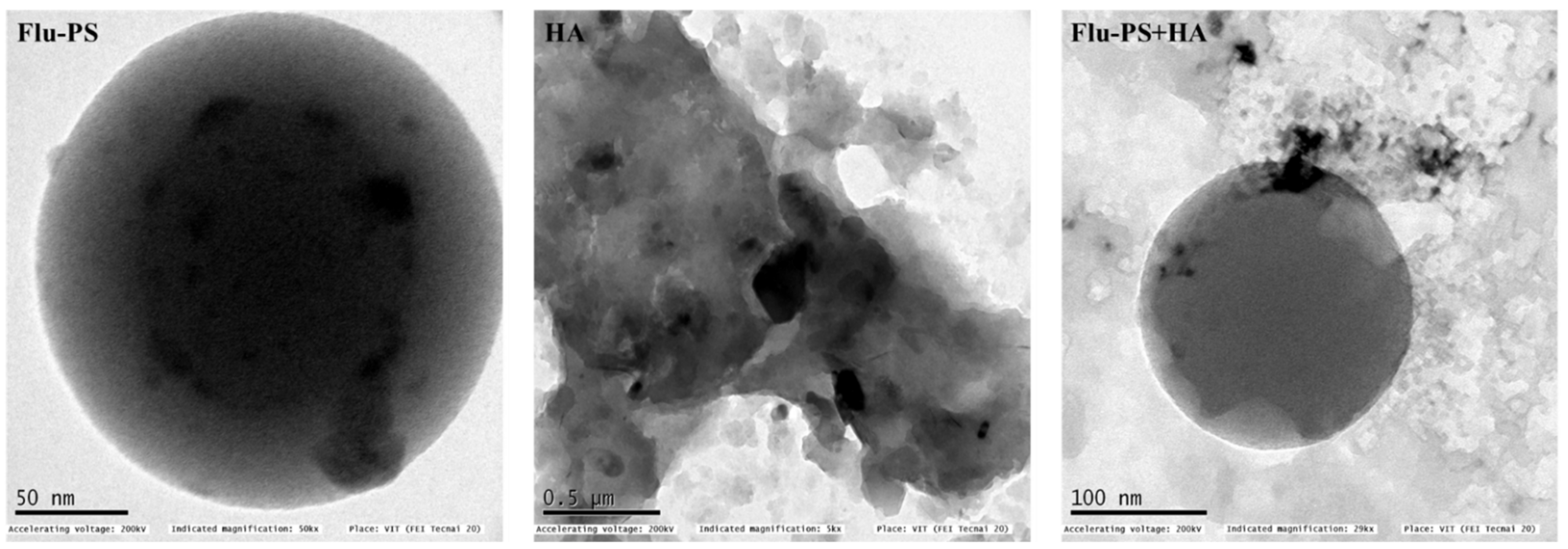 Plants 11 03000 g001 Plants 11 03000 g001