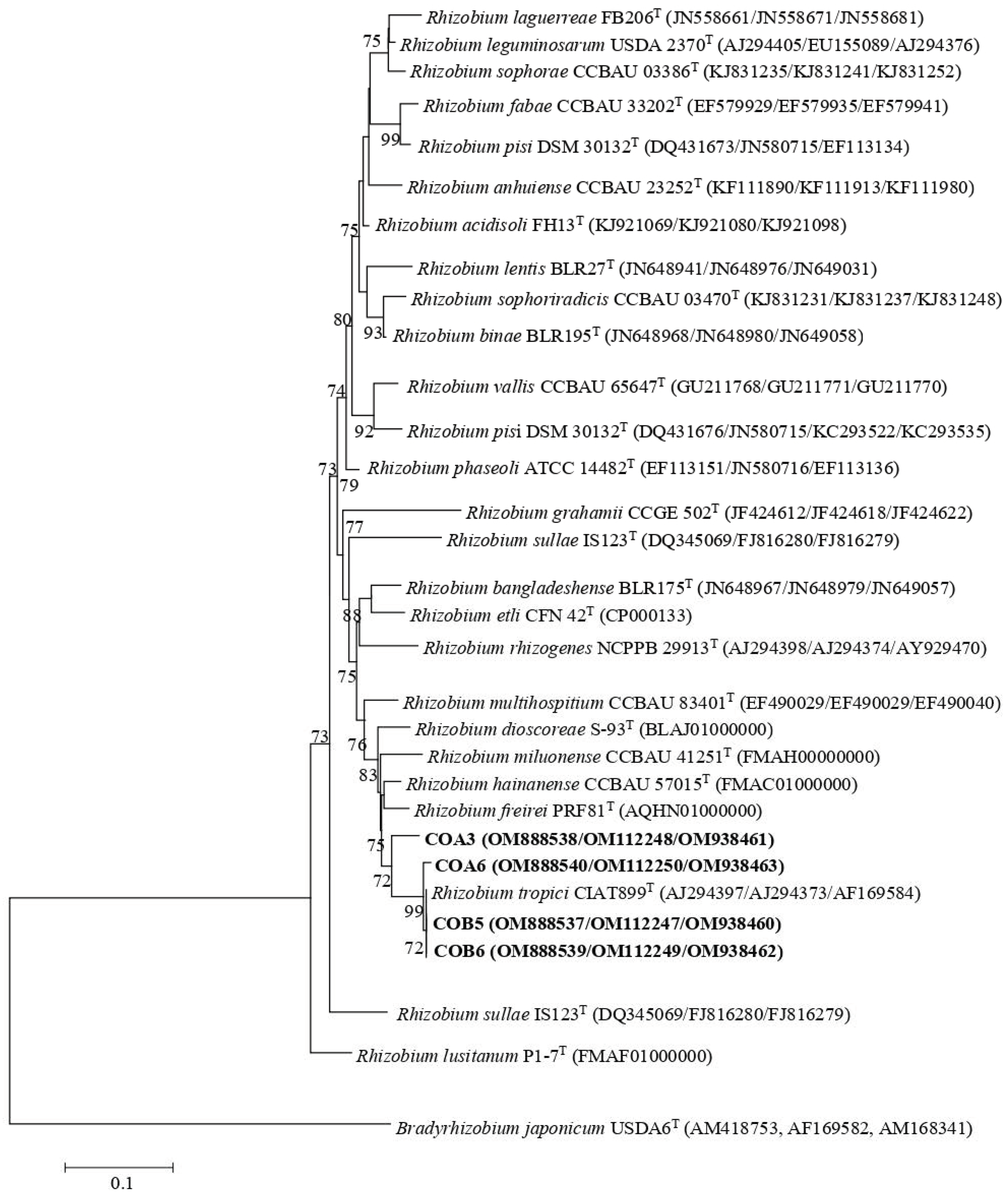 Plants 11 03011 g001 Plants 11 03011 g001