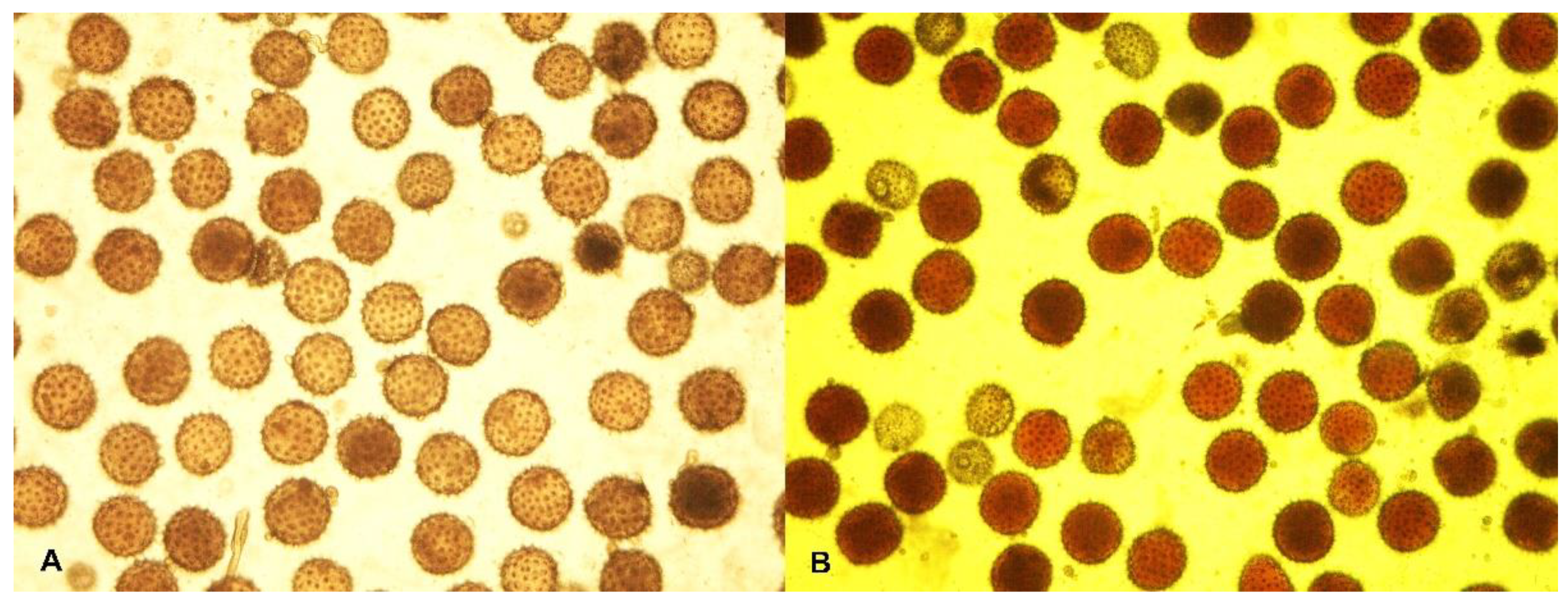 Plants 11 03012 g005 Plants 11 03012 g005