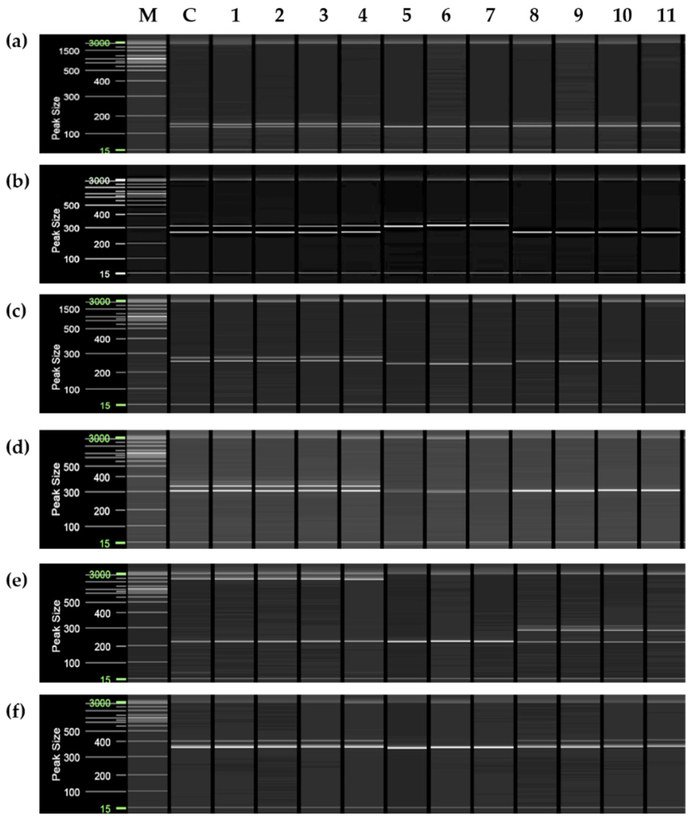 Plants 11 03022 g002 Plants 11 03022 g002