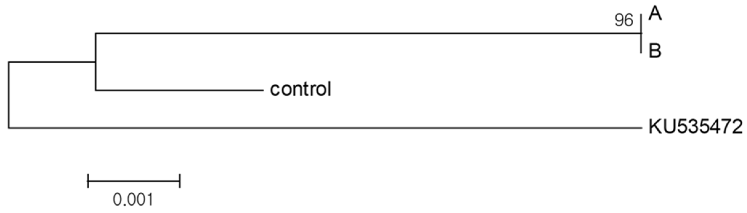 Plants 11 03022 g007 Plants 11 03022 g007