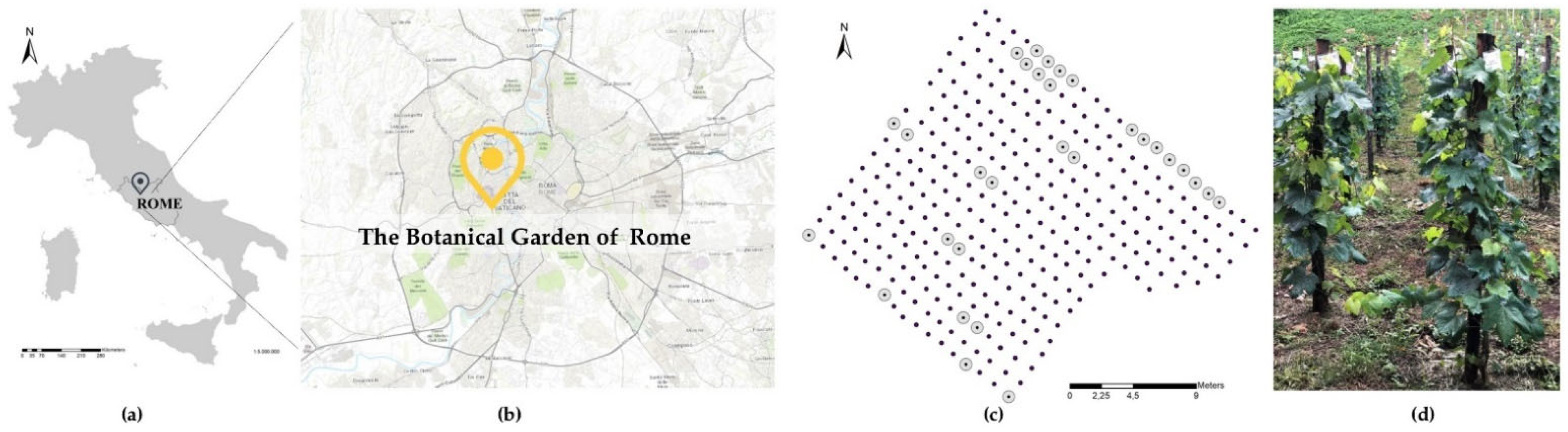 Plants 11 03026 g001