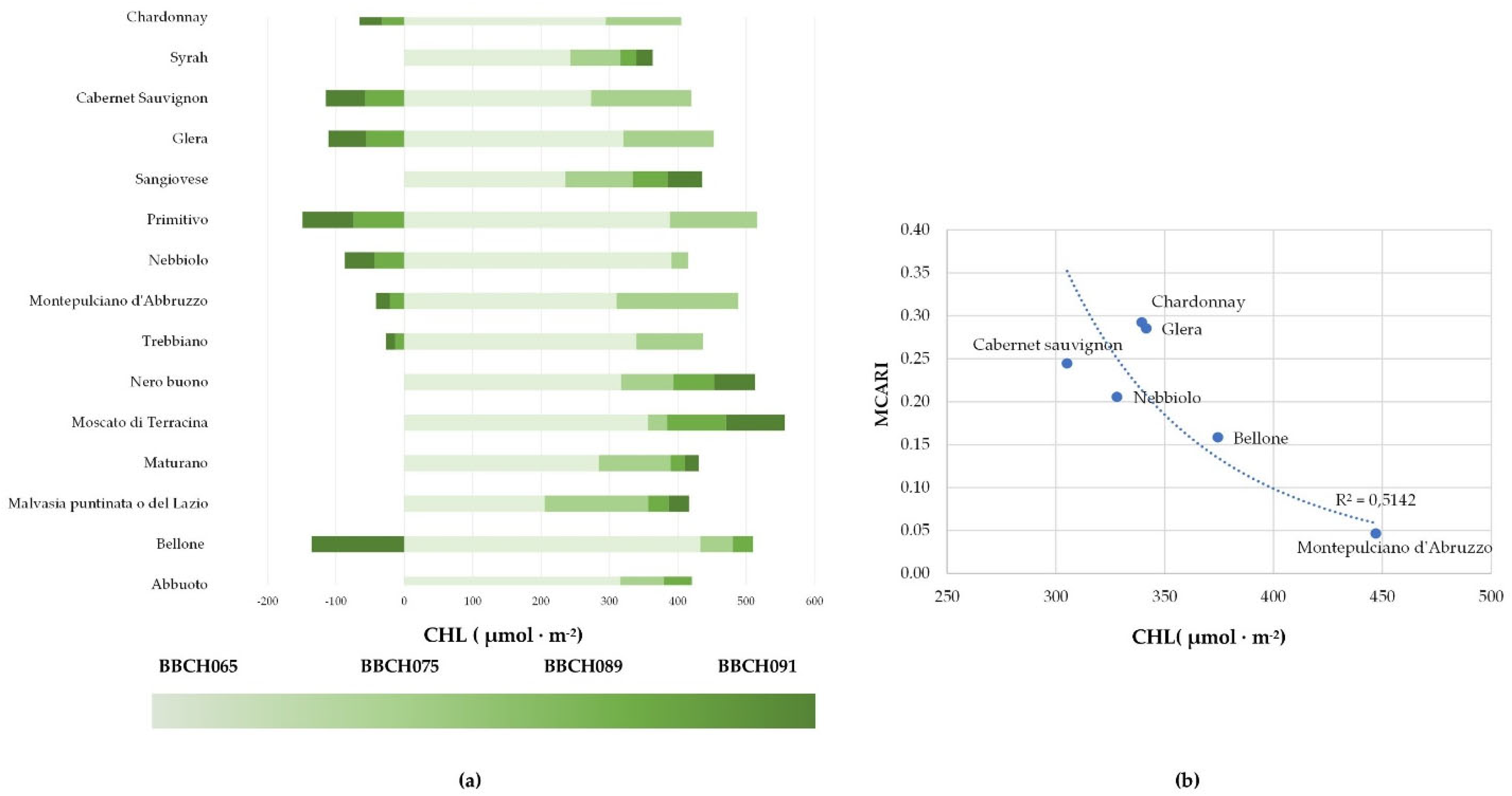 Plants 11 03026 g003