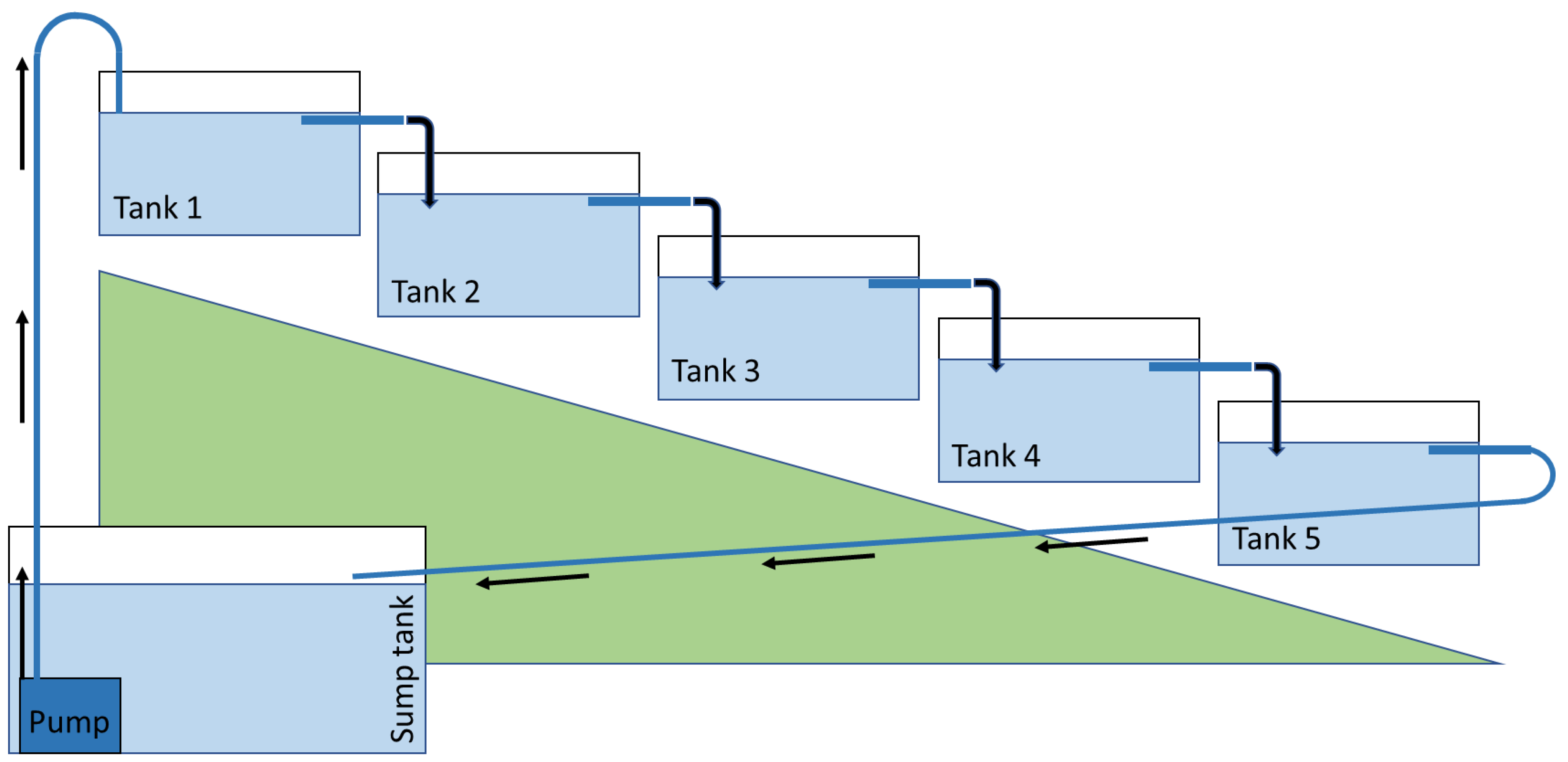 Plants 11 03027 g005