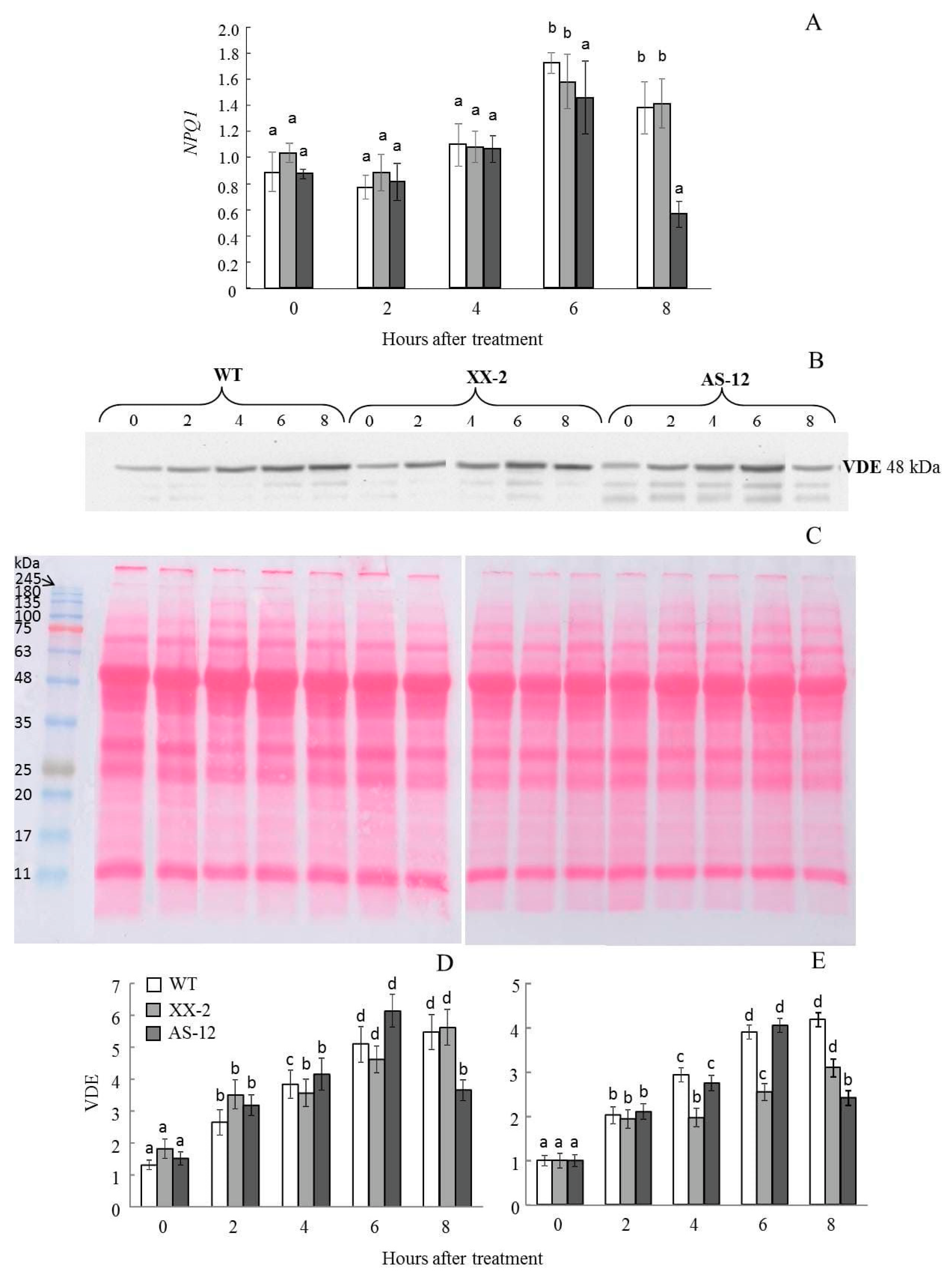 Plants 11 03030 g006 Plants 11 03030 g006