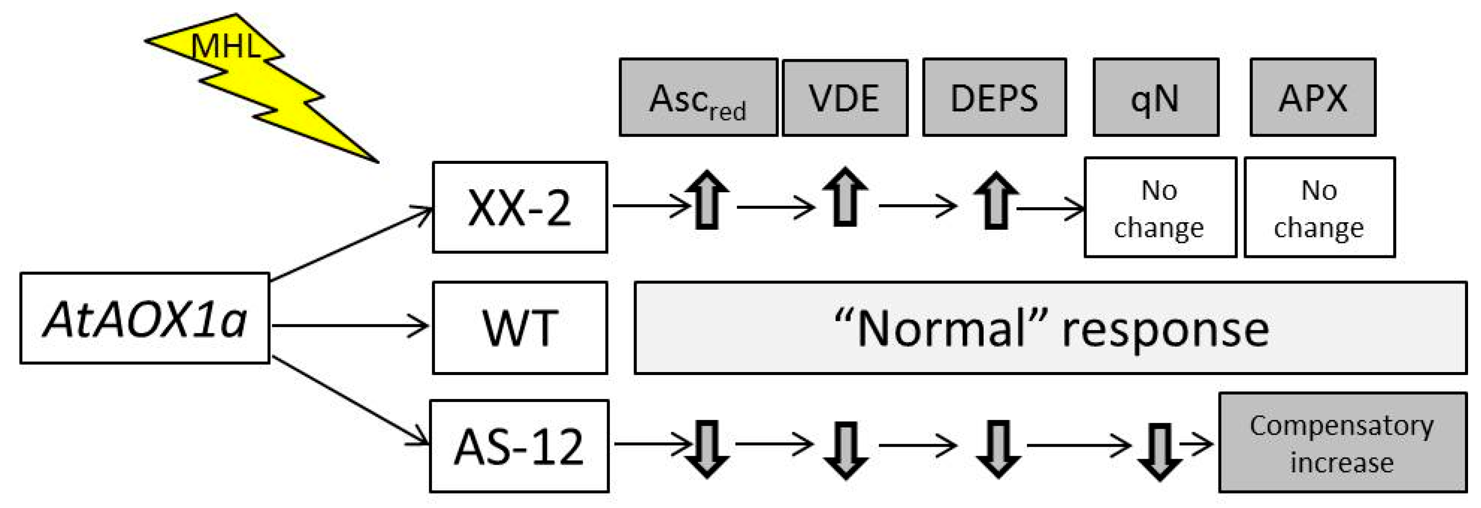 Plants 11 03030 g011 Plants 11 03030 g011