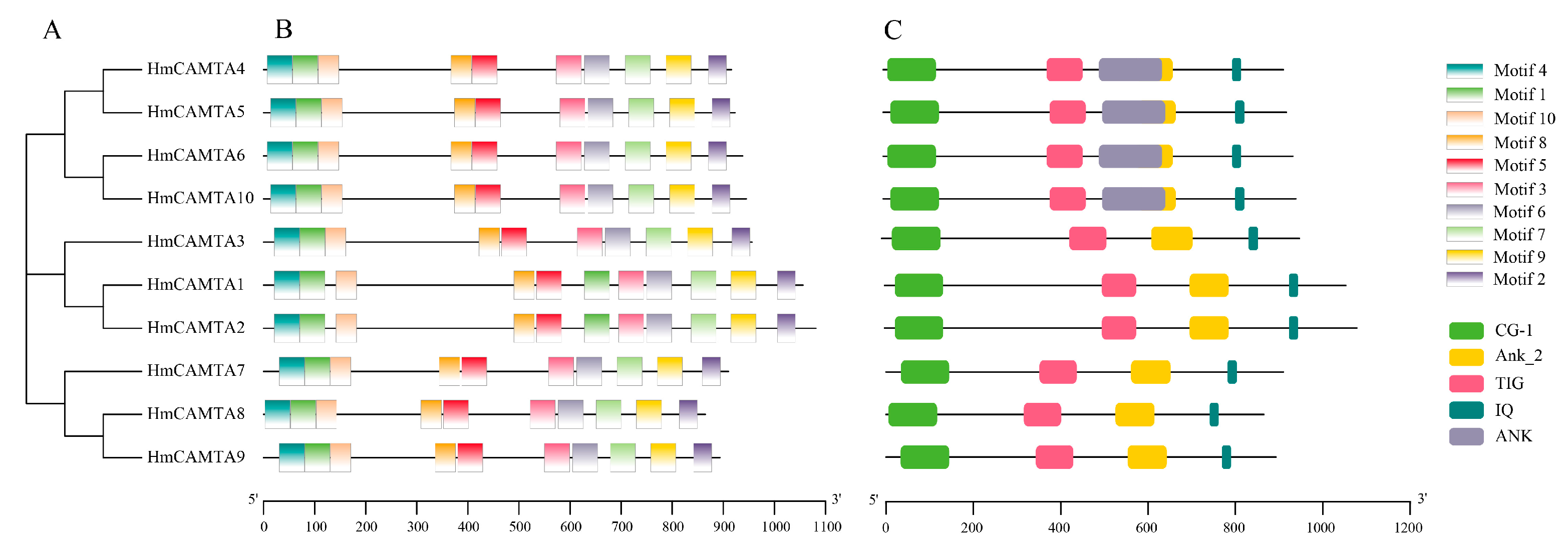 Plants 11 03031 g002 Plants 11 03031 g002