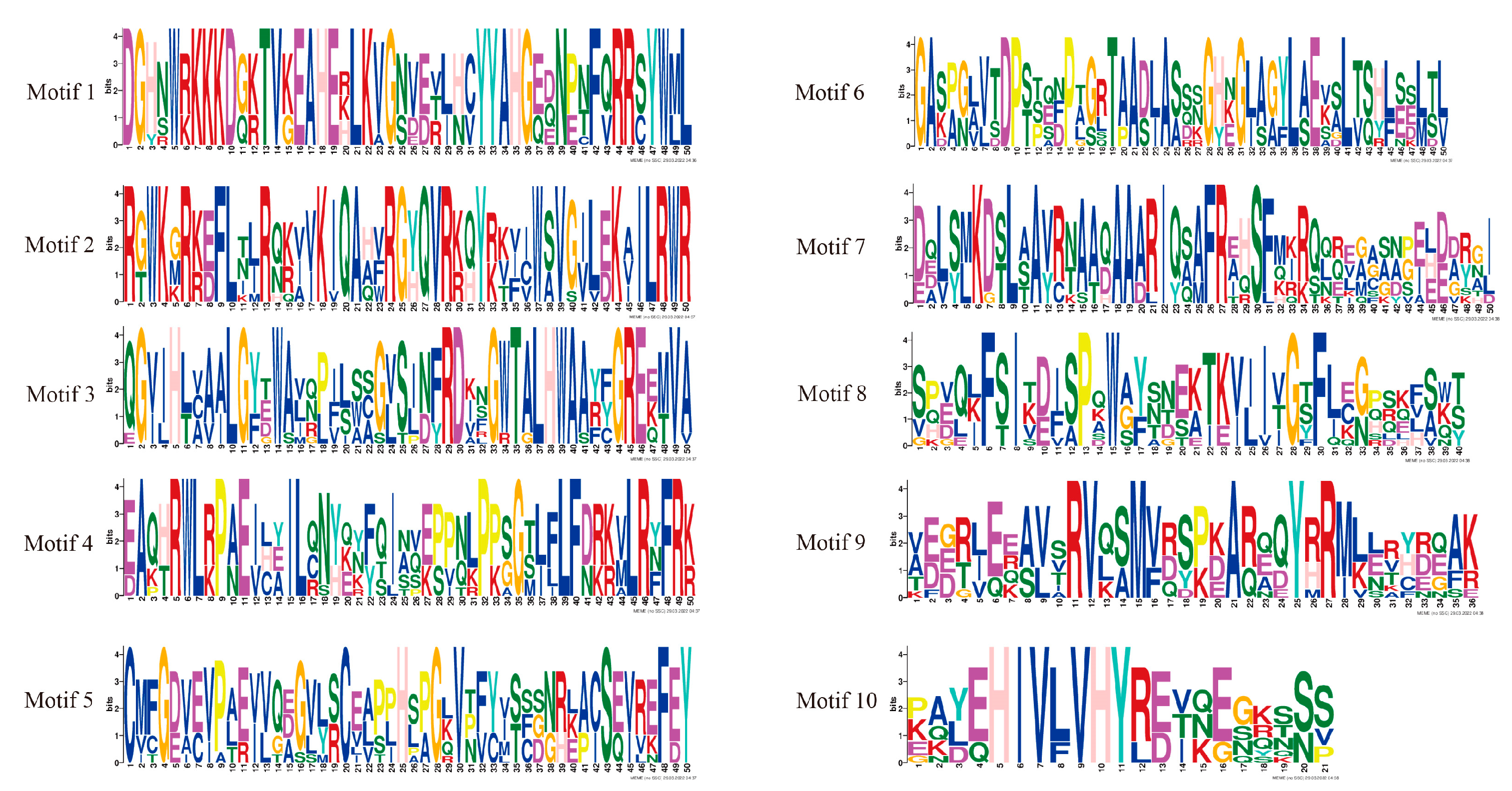 Plants 11 03031 g003 Plants 11 03031 g003