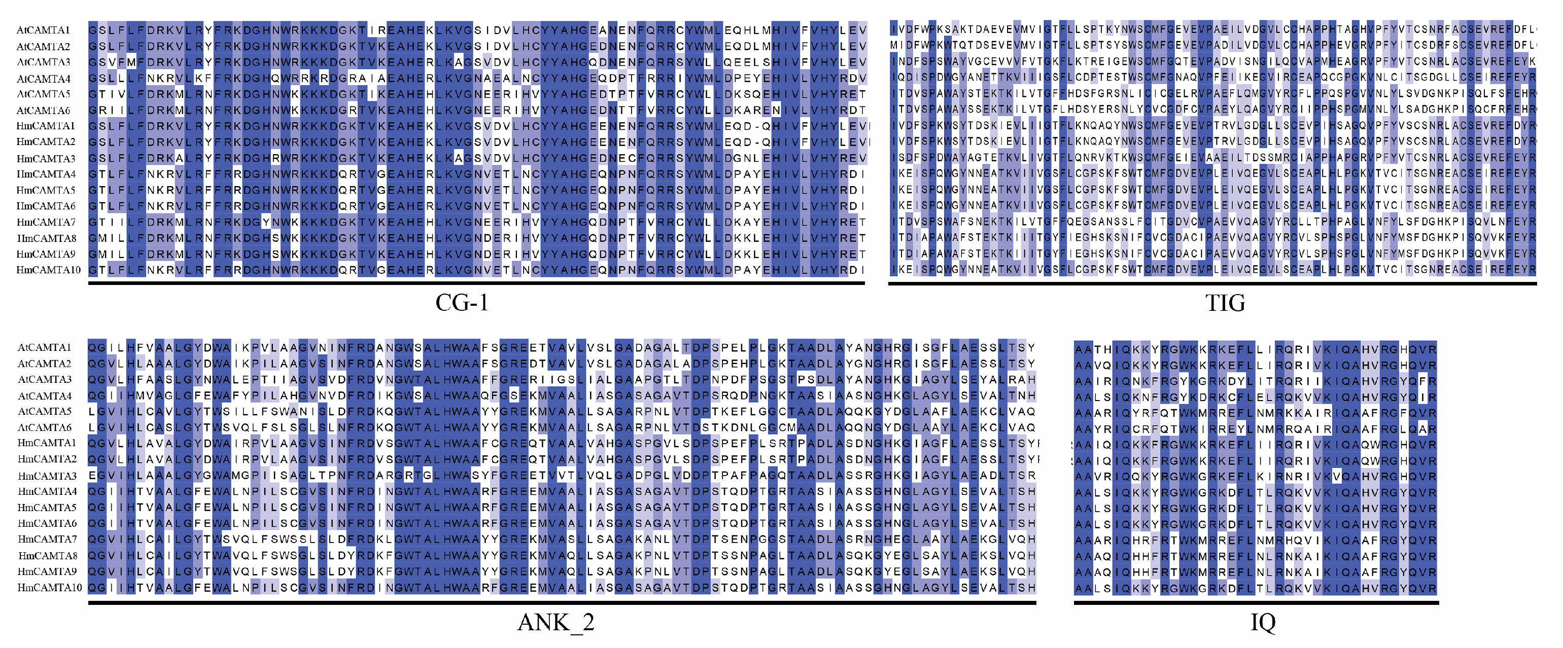 Plants 11 03031 g004 Plants 11 03031 g004