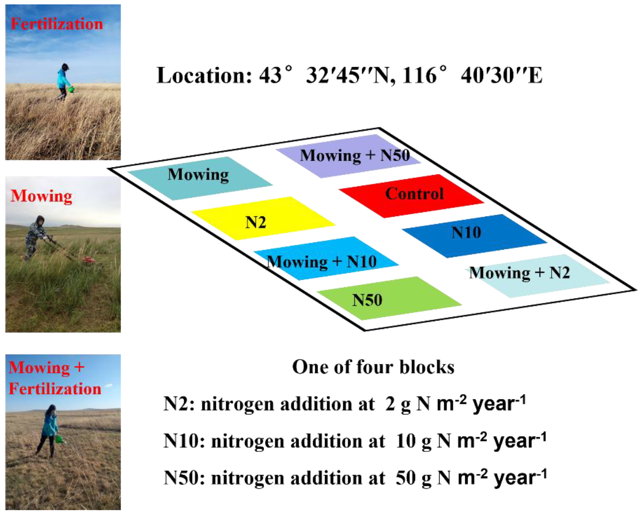 Plants 11 03042 g007 Plants 11 03042 g007