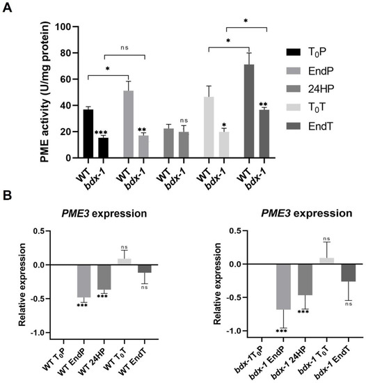 Plants Free FullText BIIDXI, a DUF642 Cell Wall Protein That