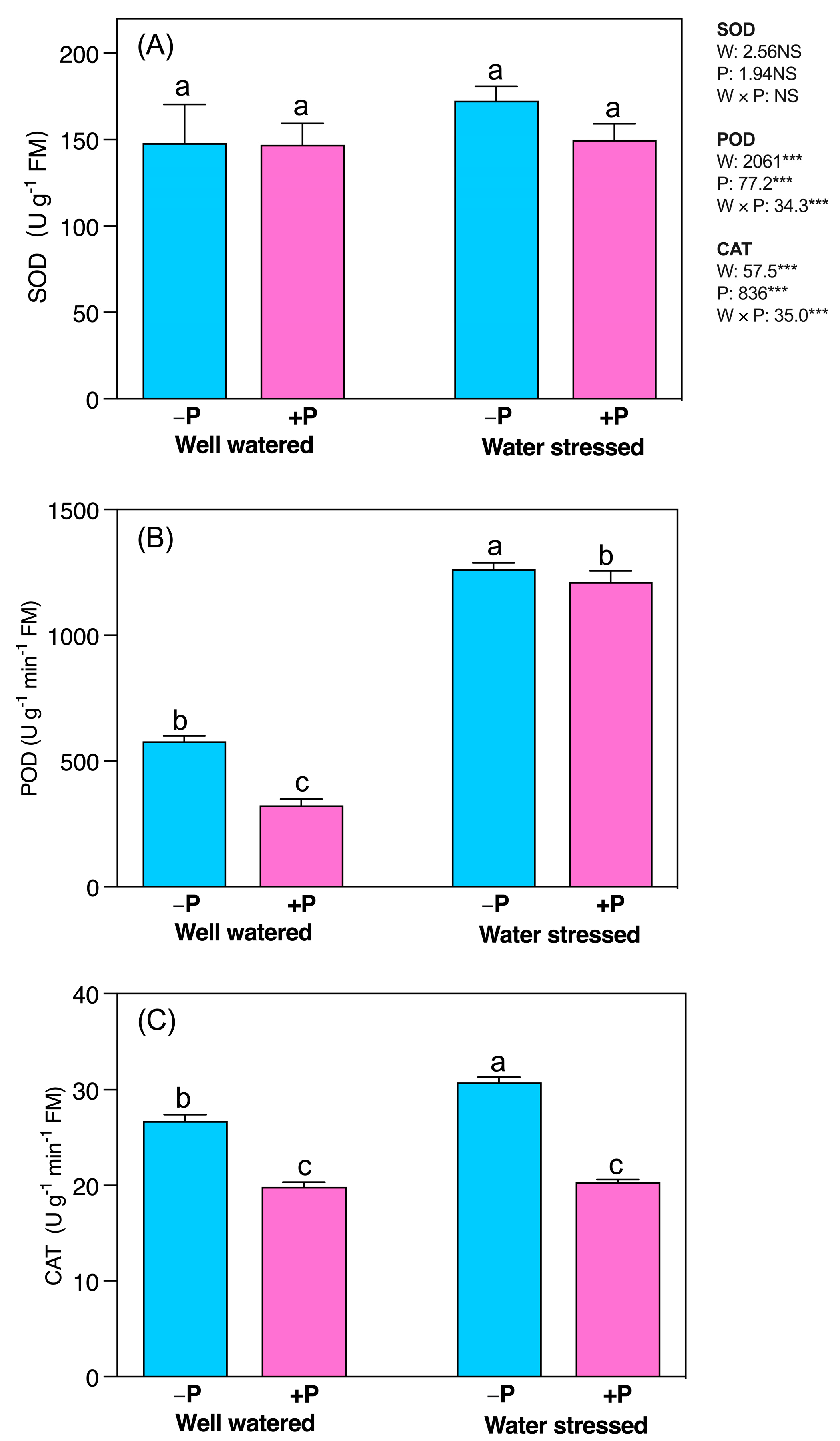 Plants 11 03054 g006 Plants 11 03054 g006