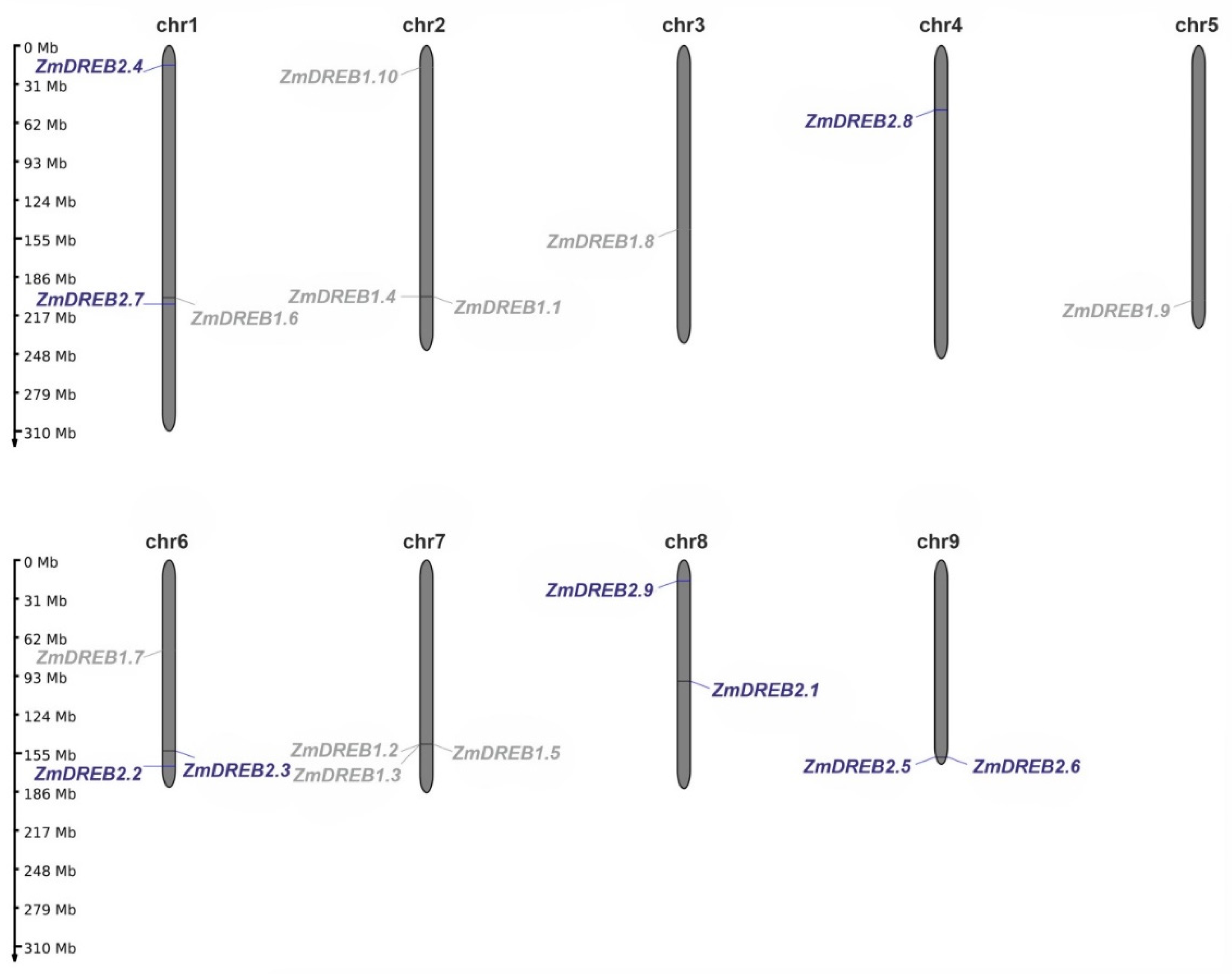 Plants 11 03060 g001 Plants 11 03060 g001