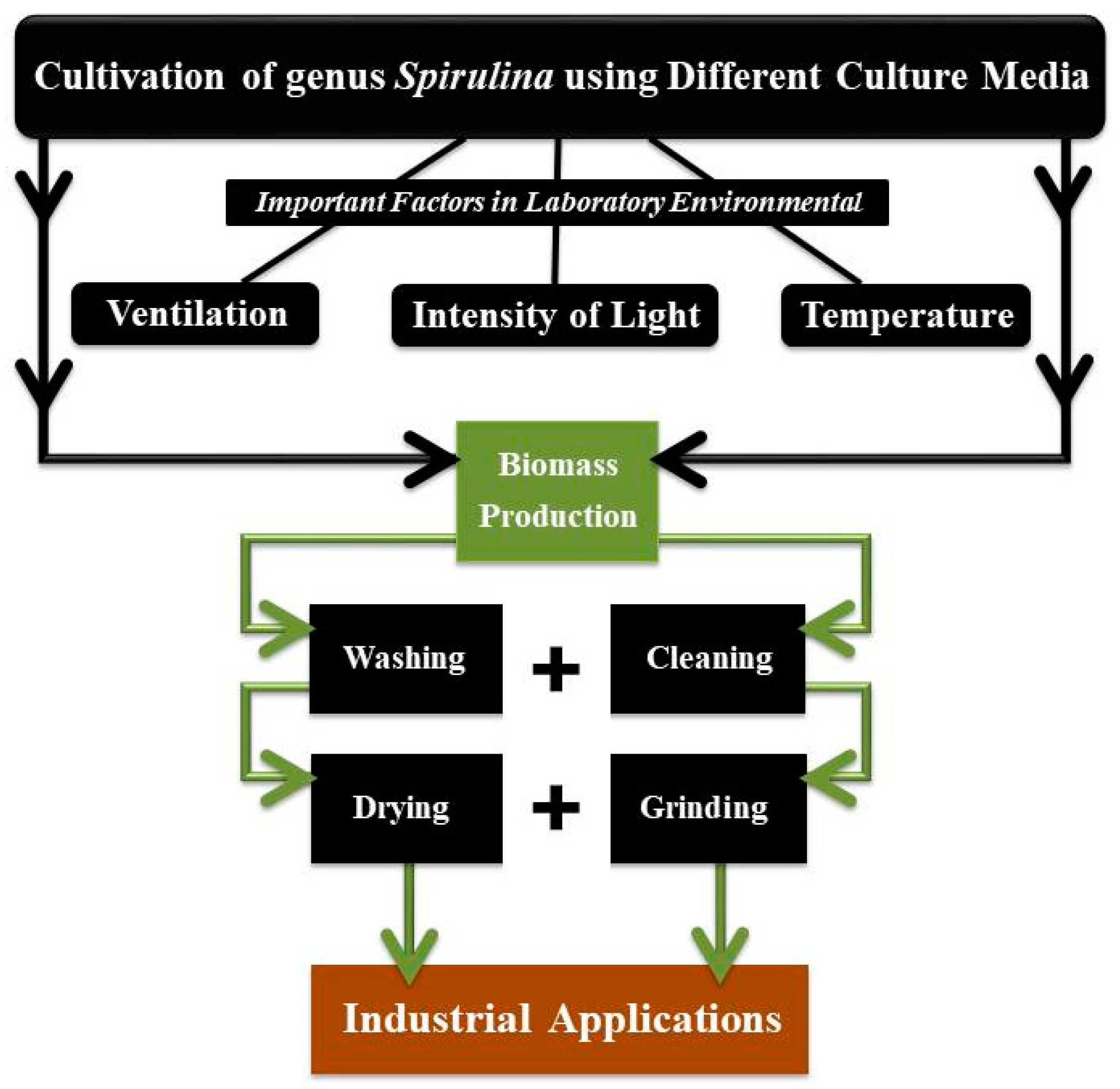 Plants 11 03063 g003