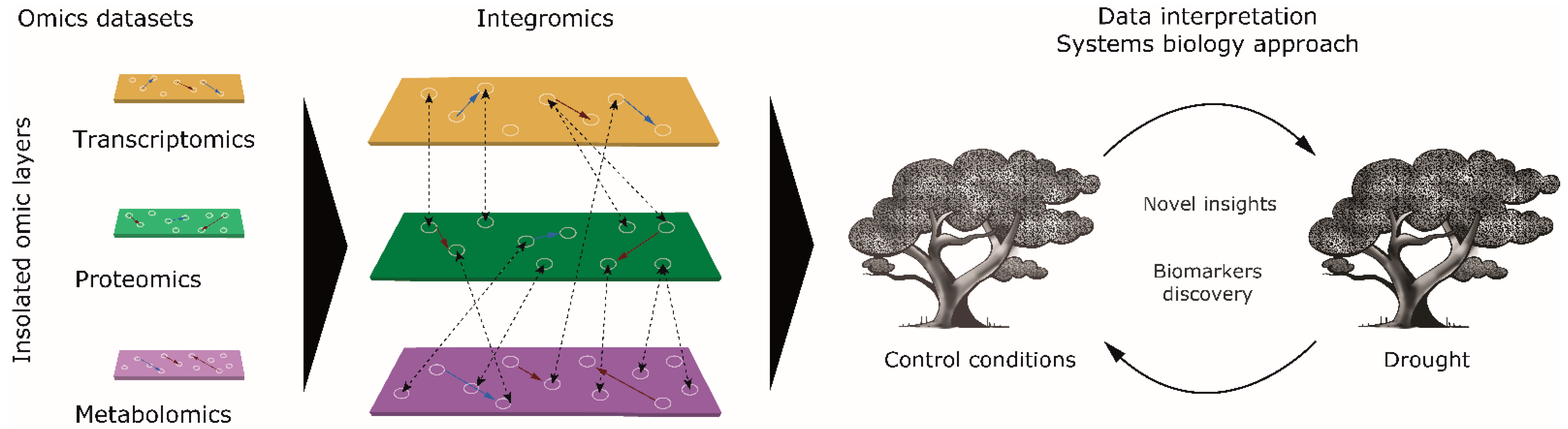 Plants 11 03067 g001 Plants 11 03067 g001