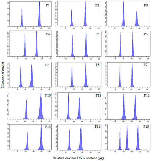 Mixed-Ploidy and Dysploidy in Hypericum perforatum: A