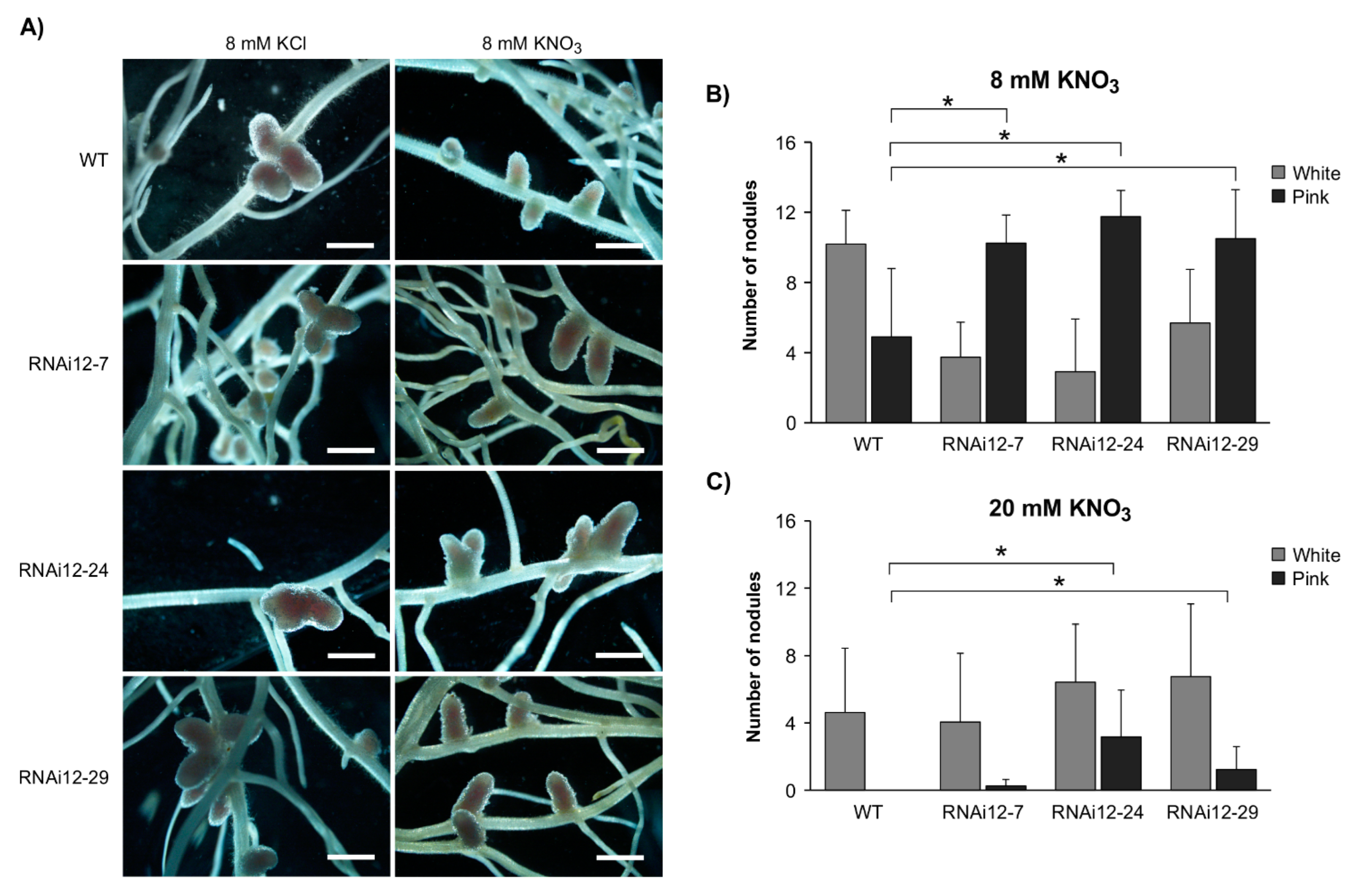 Plants 11 03071 g001