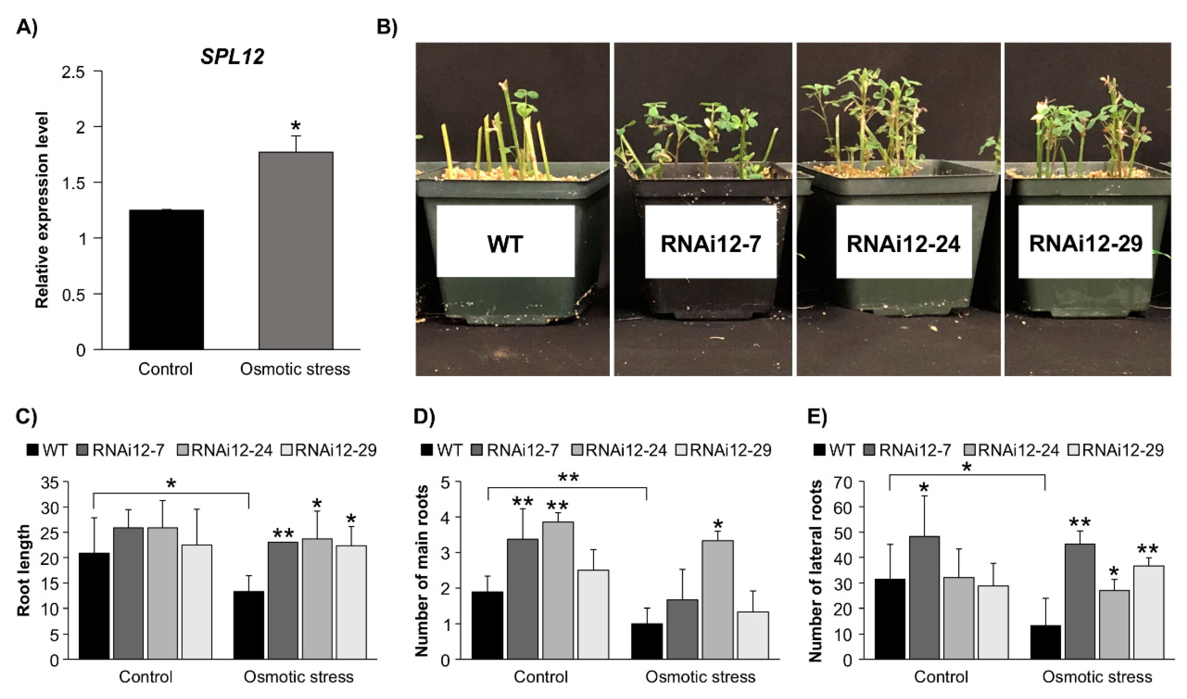 Plants 11 03071 g005