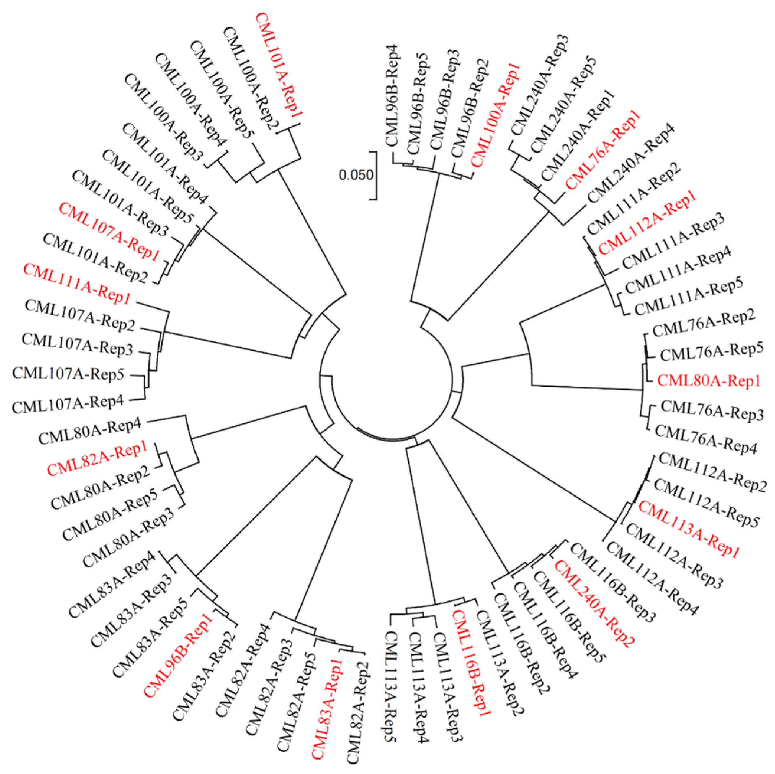 Plants 11 03092 g004