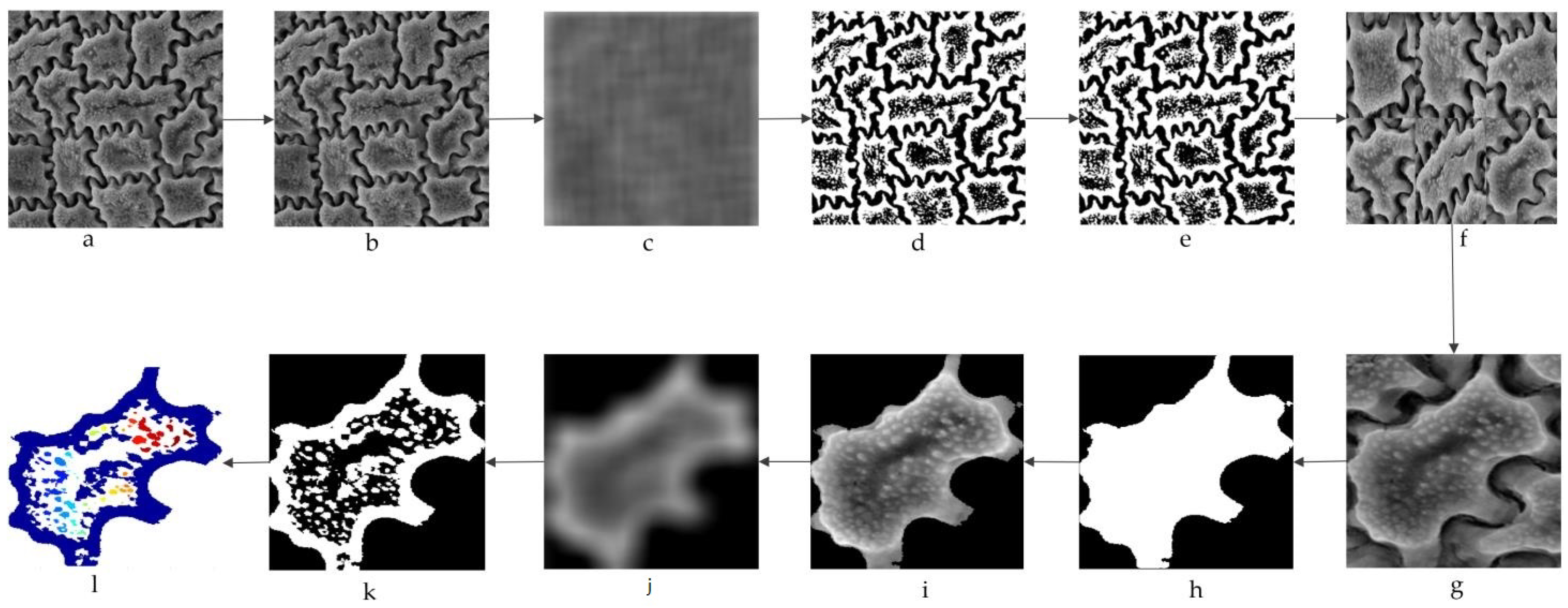 Plants 11 03097 g010