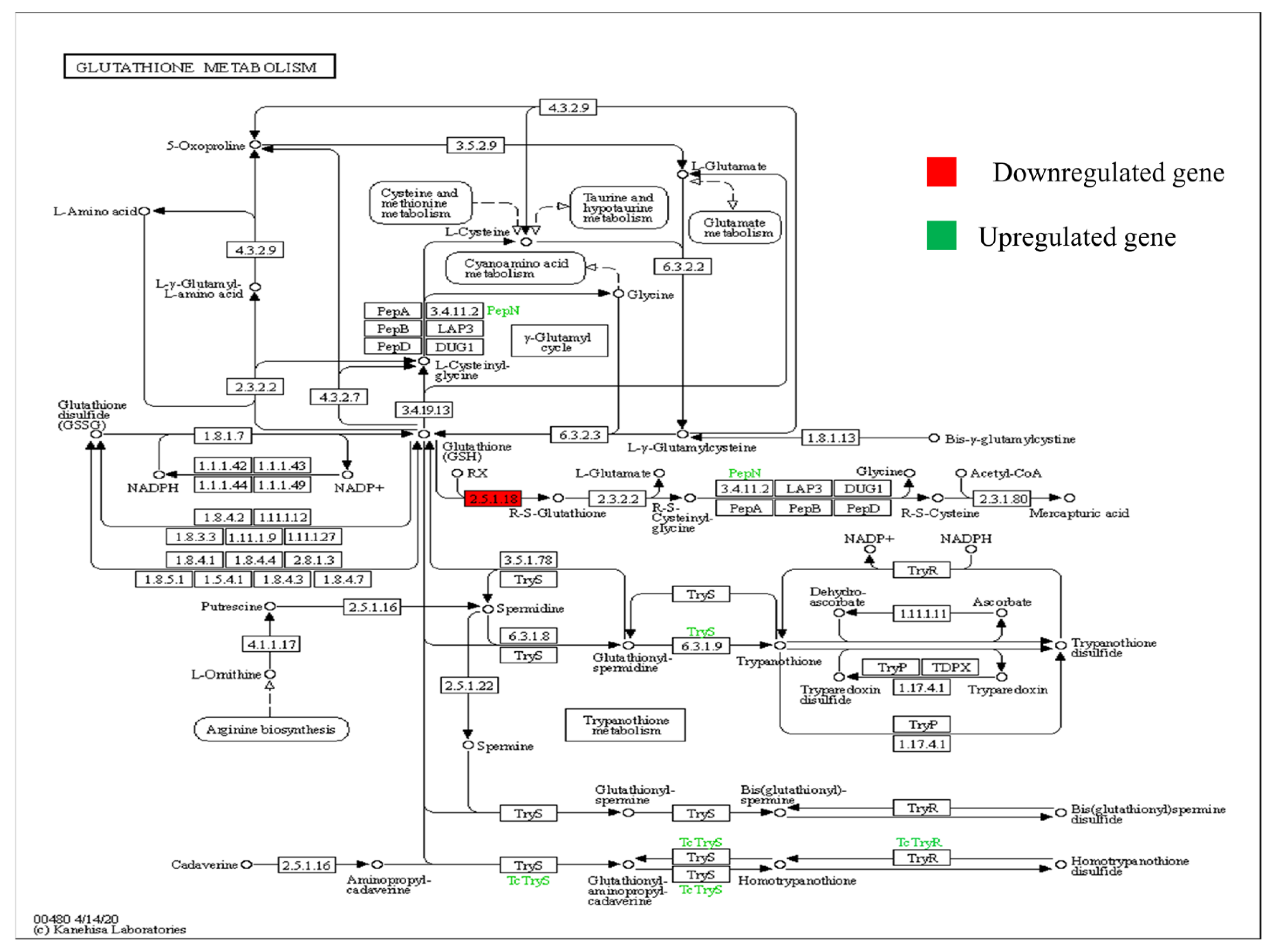 Plants 11 03100 g005 Plants 11 03100 g005