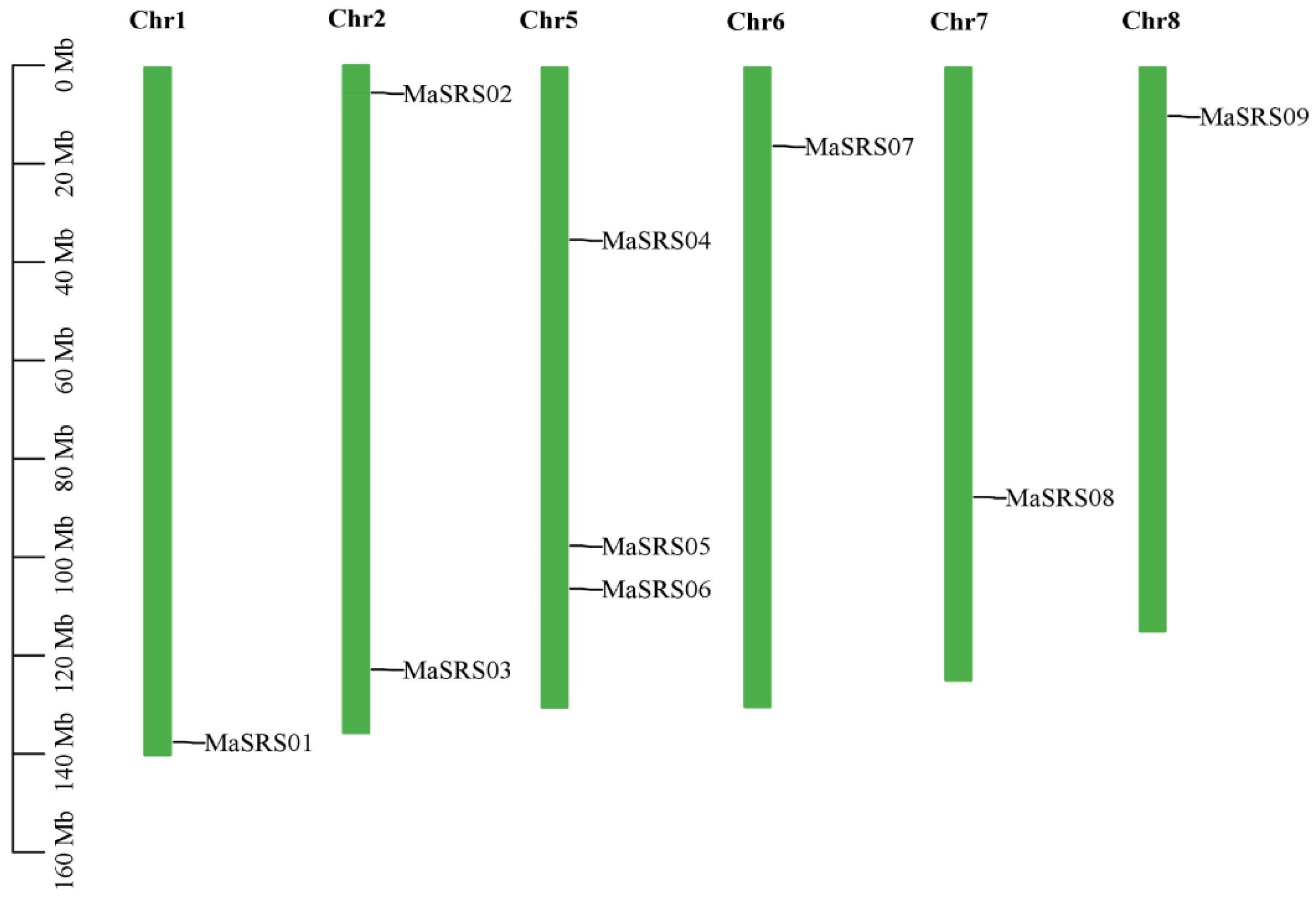 Plants 11 03101 g001 Plants 11 03101 g001