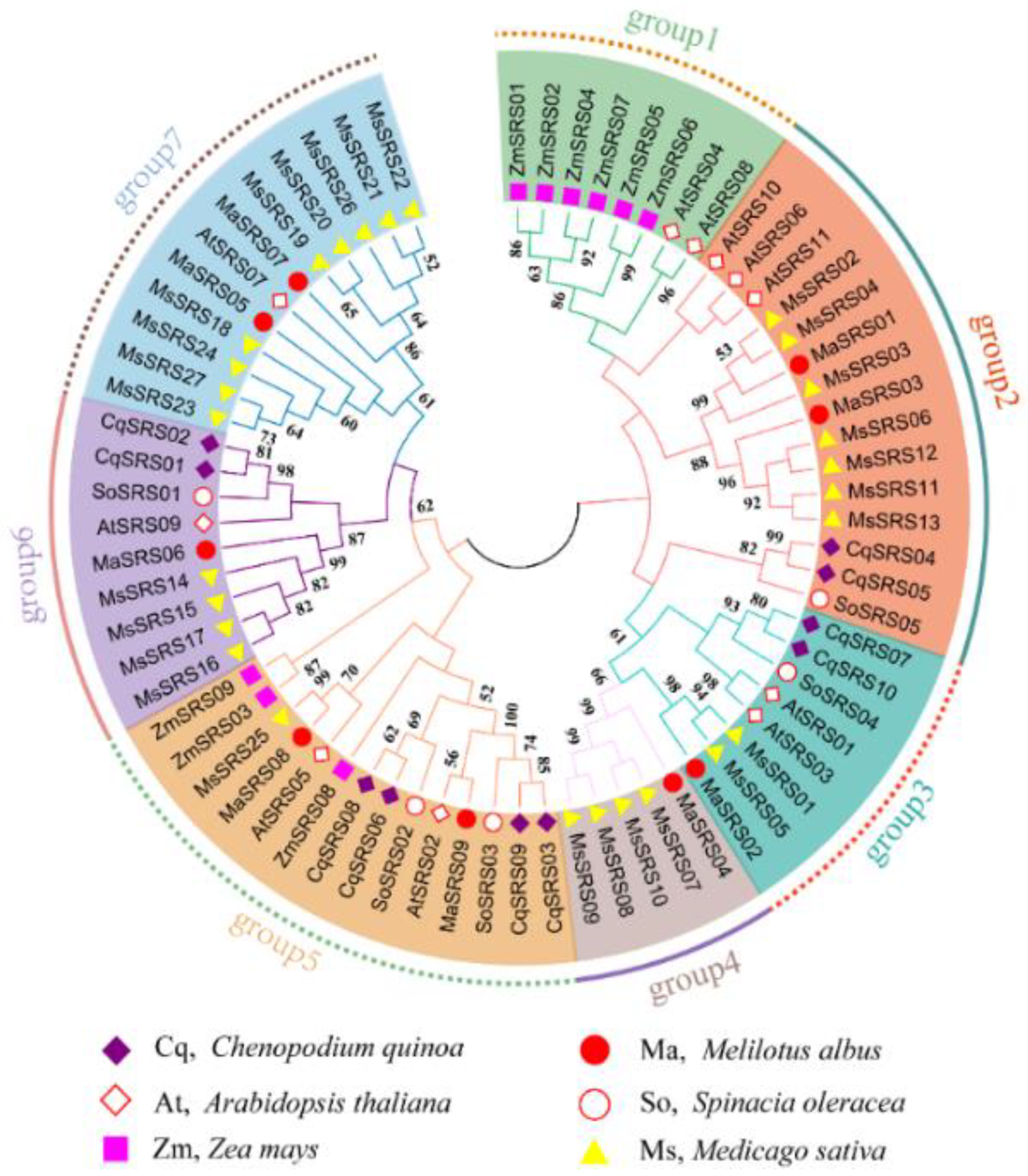 Plants 11 03101 g003 Plants 11 03101 g003