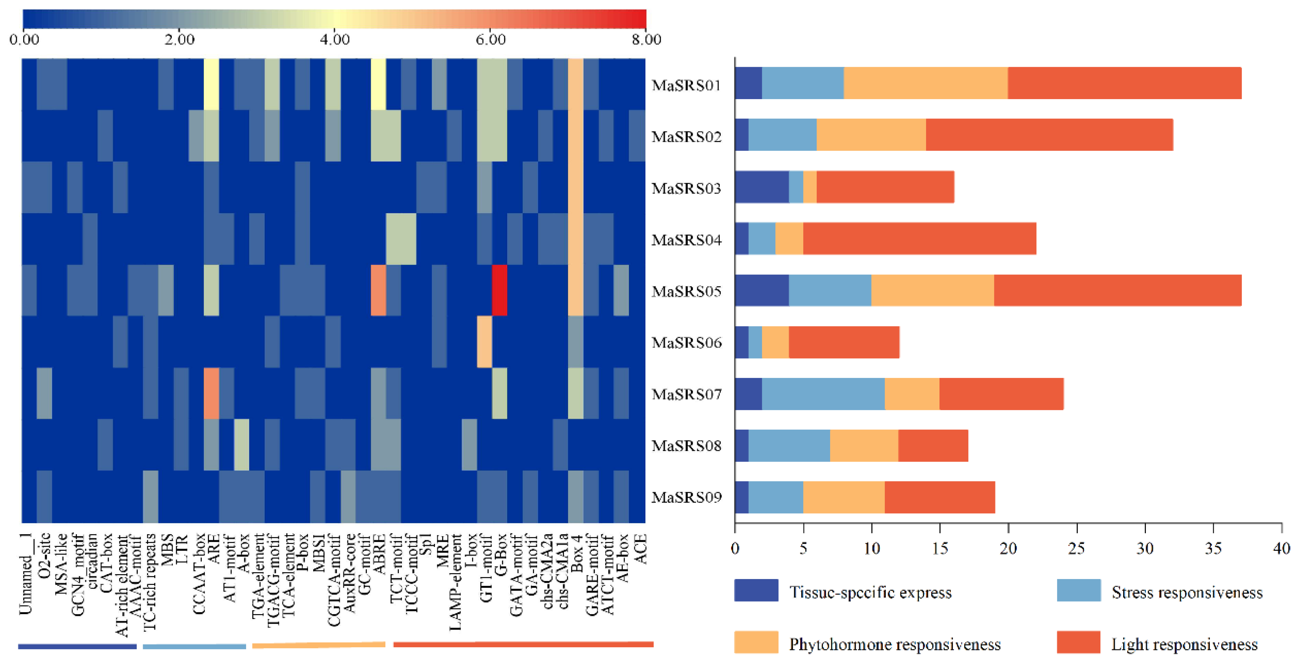 Plants 11 03101 g005 Plants 11 03101 g005