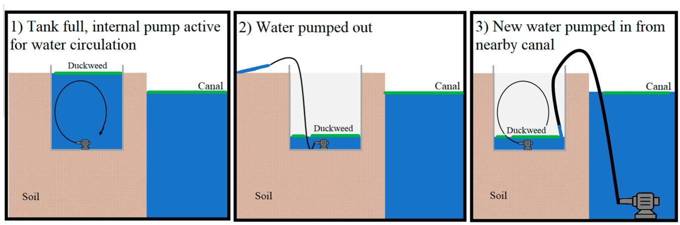 Plants 11 03103 g002 Plants 11 03103 g002